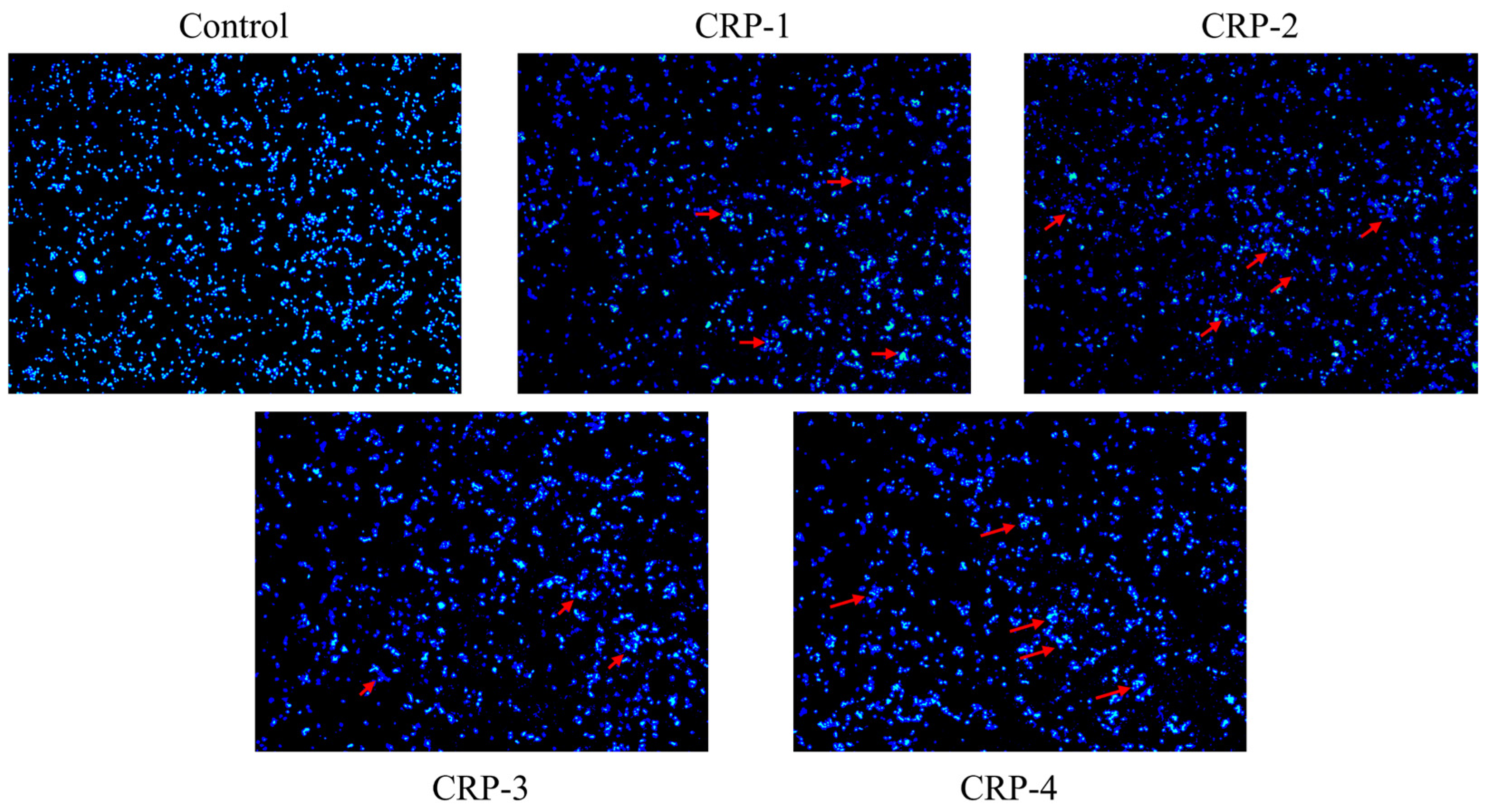 Marinedrugs 22 00356 g011