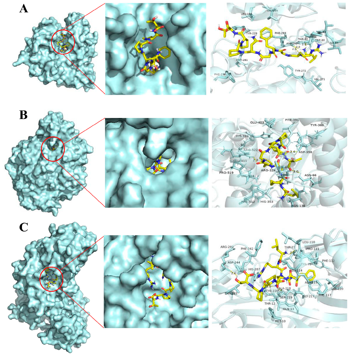 Marinedrugs 22 00361 g005