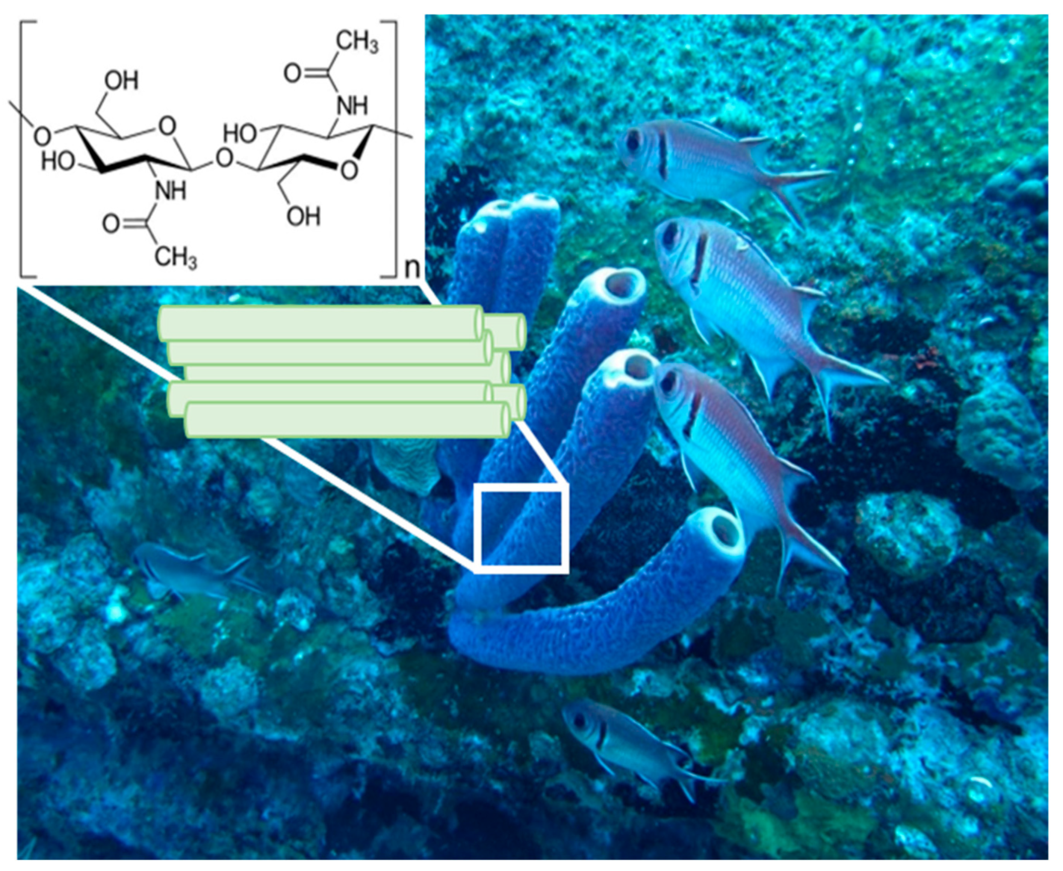 Marinedrugs 22 00379 g001