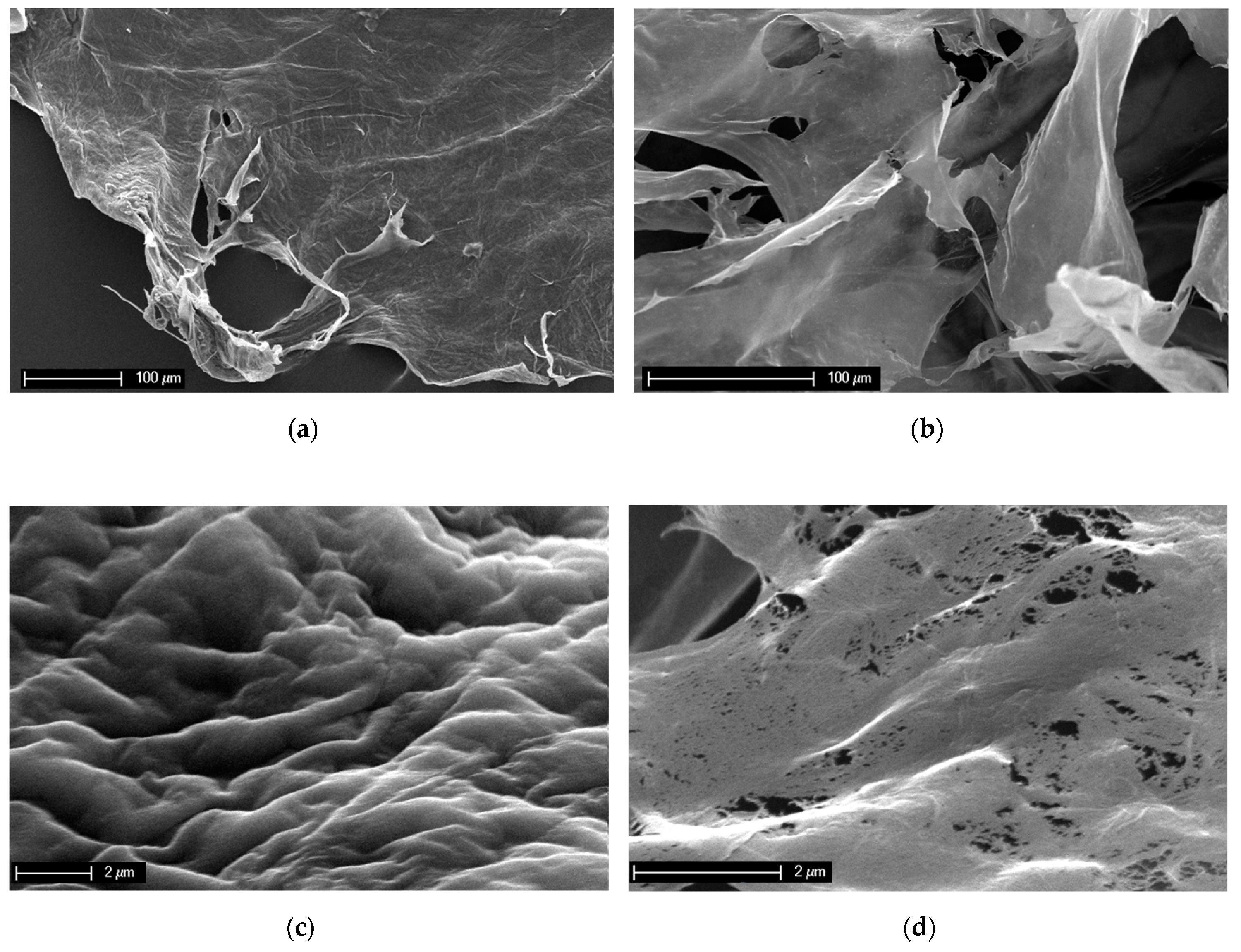 Marinedrugs 22 00379 g002