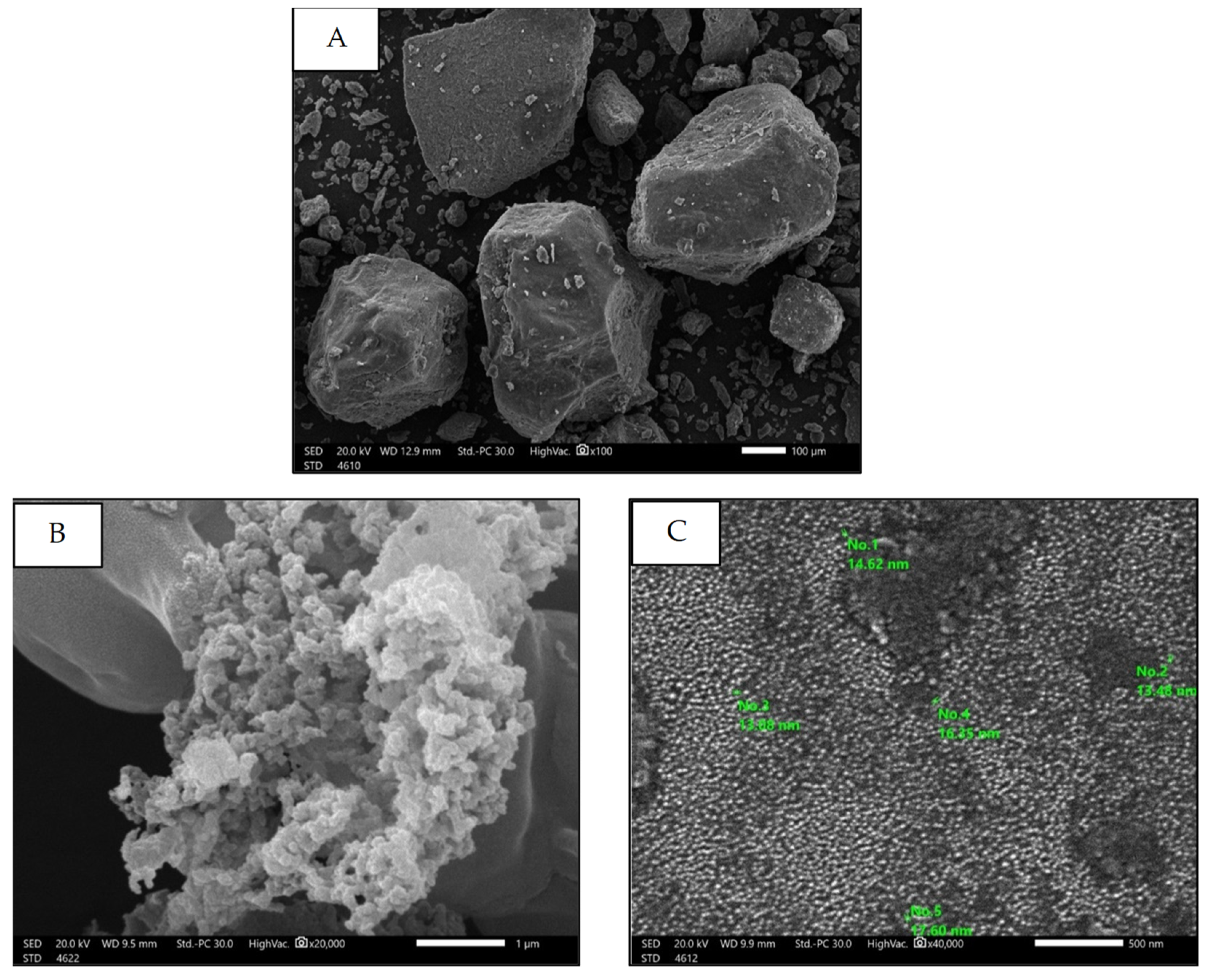 Marinedrugs 22 00395 g005