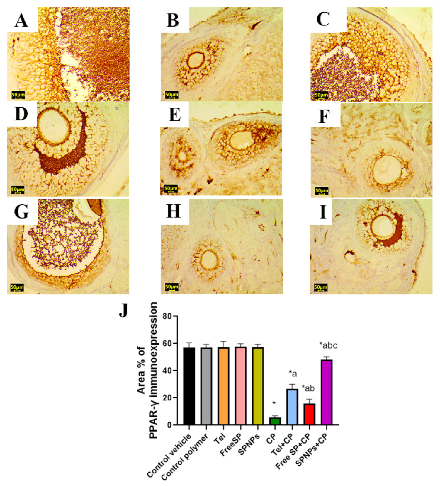 Marinedrugs 22 00395 g013