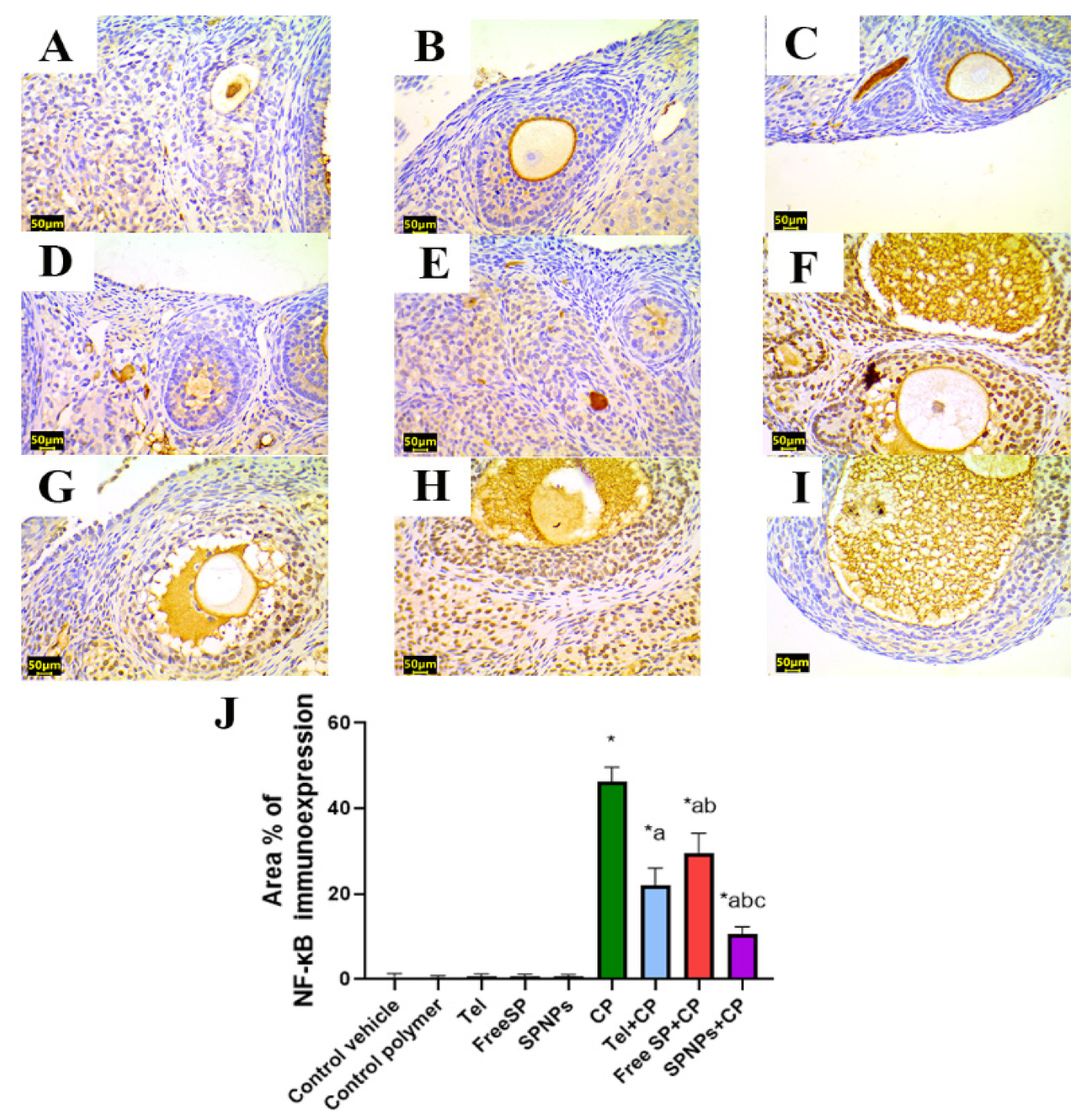 Marinedrugs 22 00395 g014