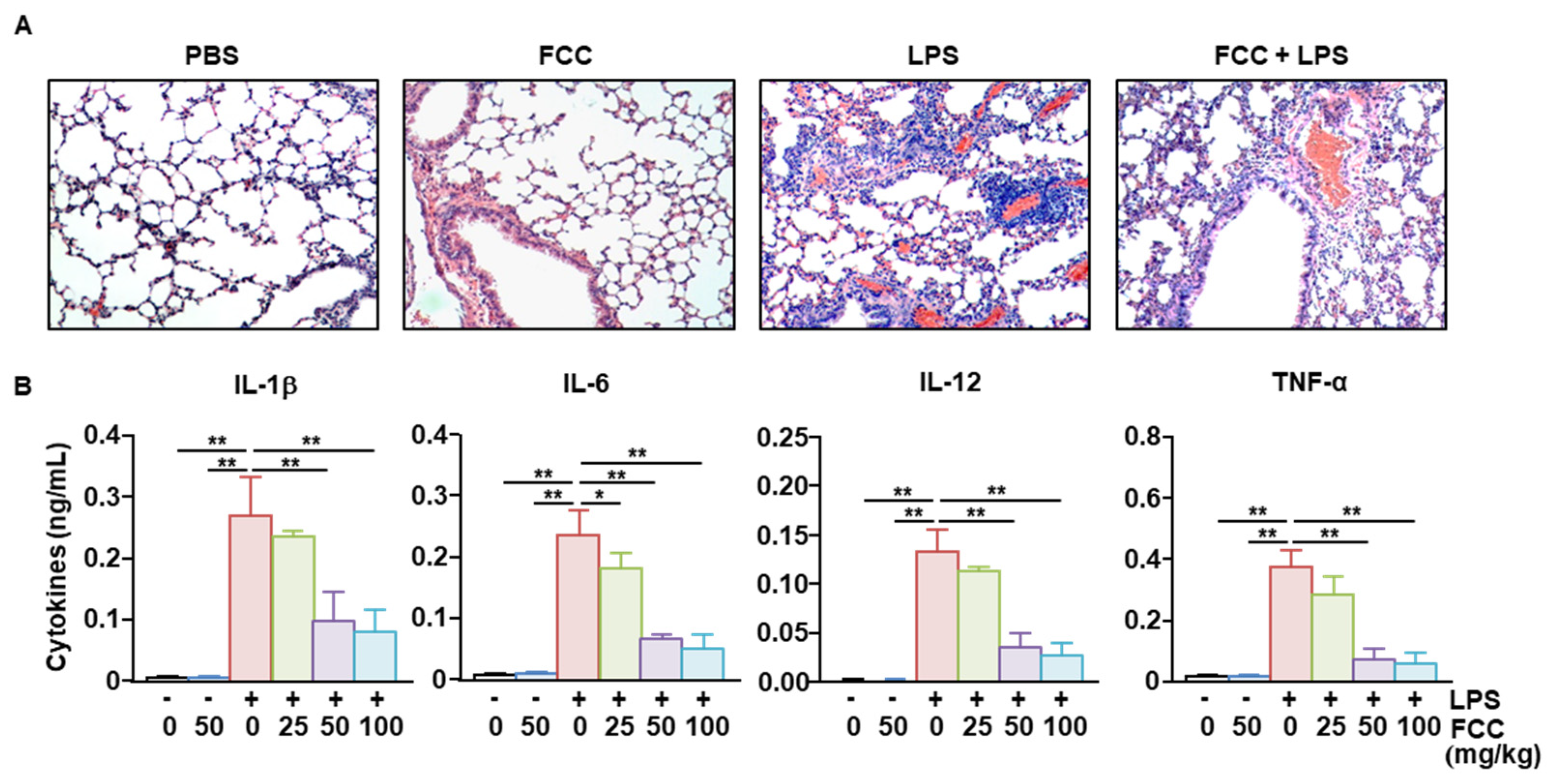 Marinedrugs 22 00401 g005