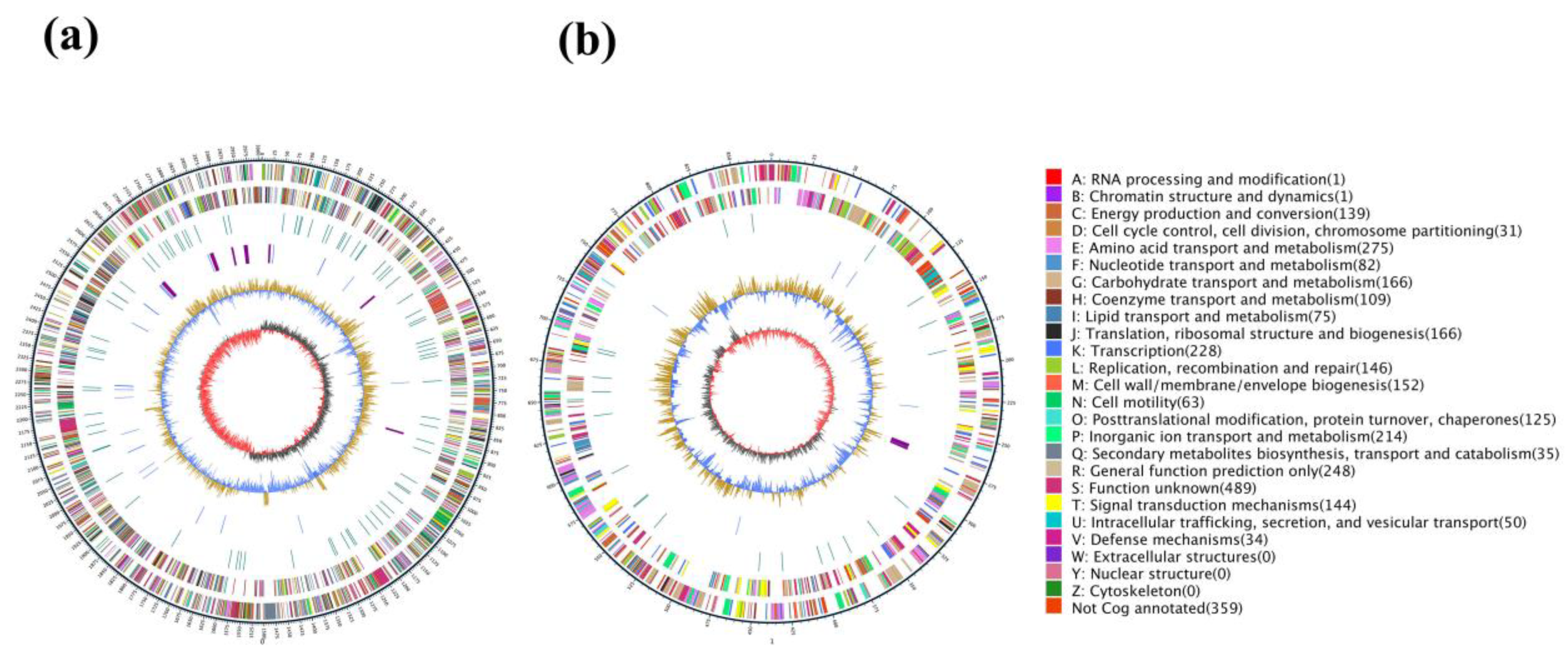 Marinedrugs 22 00414 g001