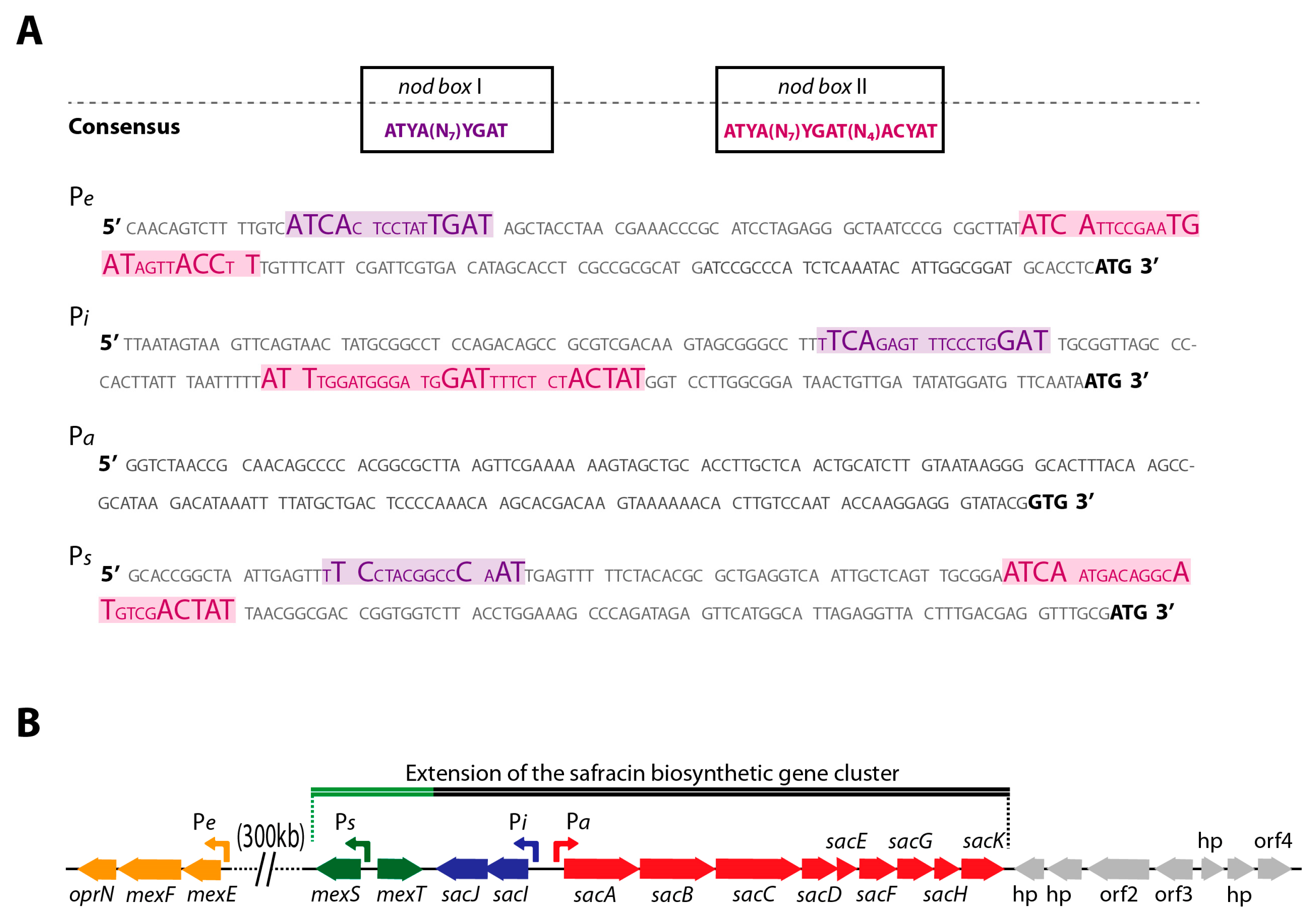 Marinedrugs 22 00418 g002