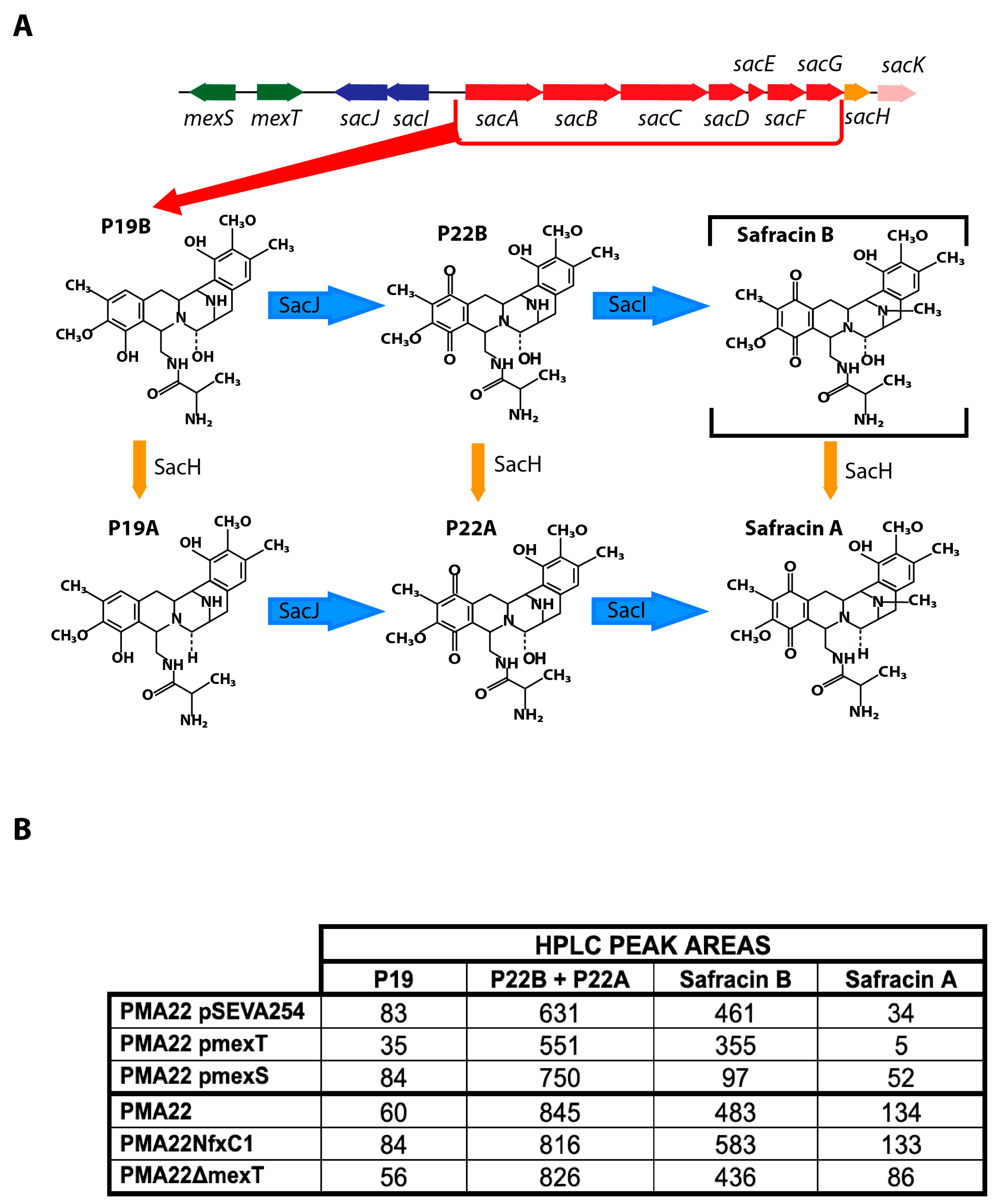 Marinedrugs 22 00418 g006