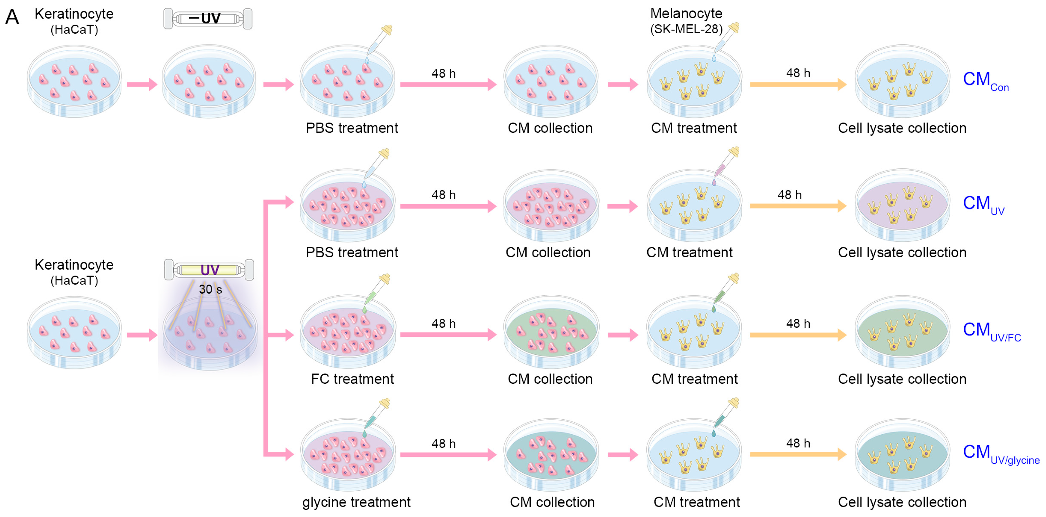 Marinedrugs 22 00421 g002a