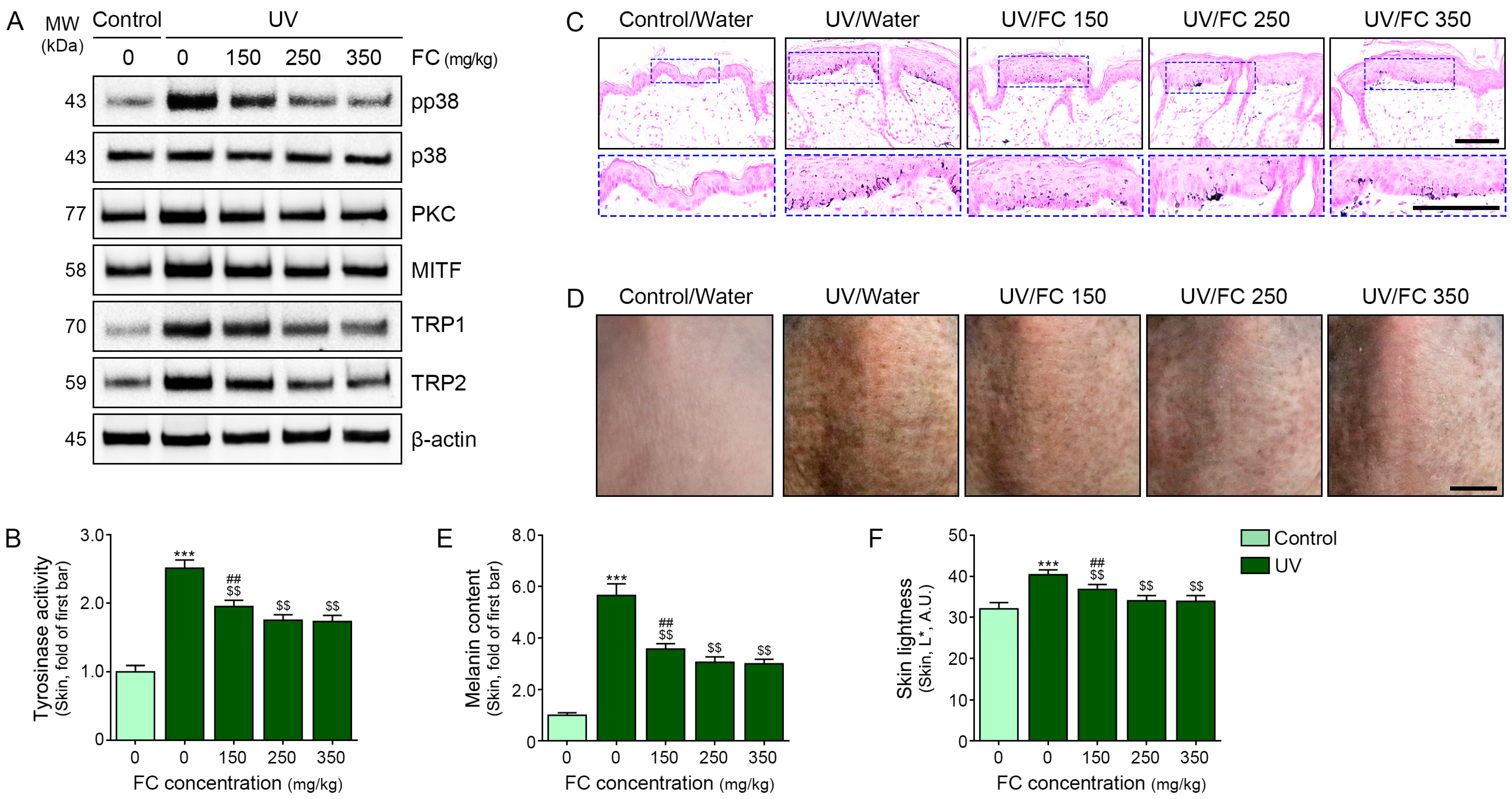 Marinedrugs 22 00421 g004