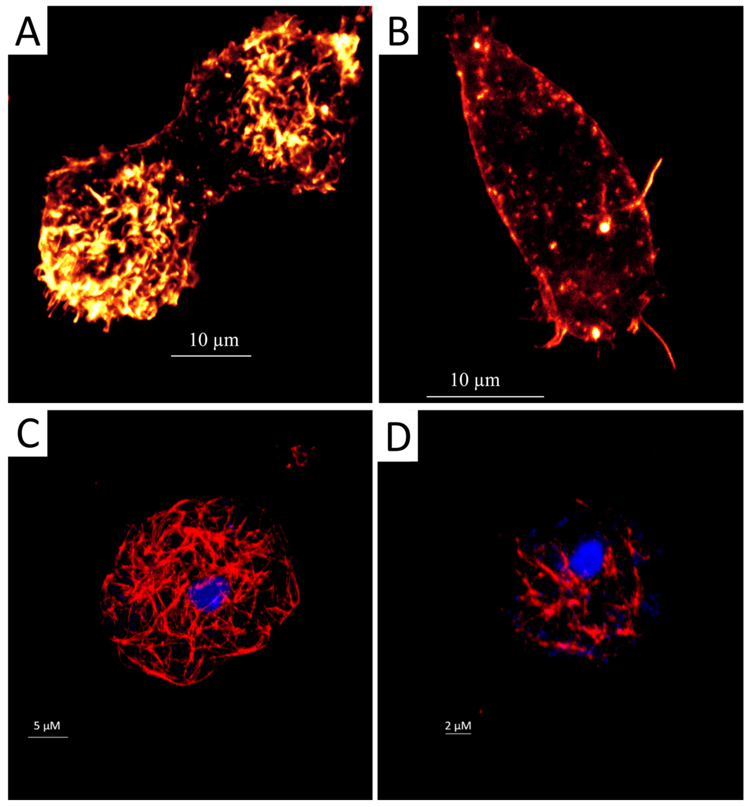 Marinedrugs 22 00423 g001