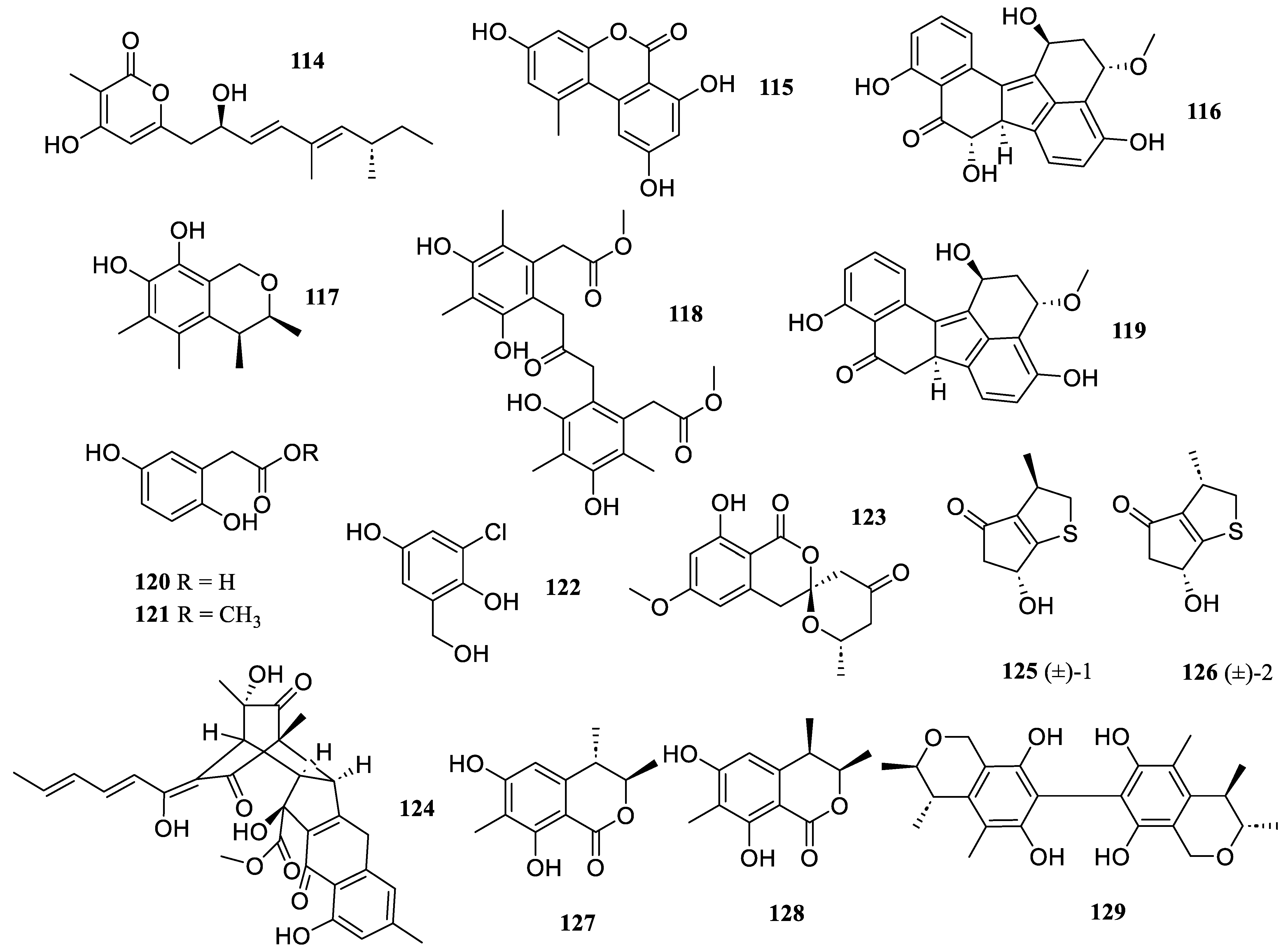 Marinedrugs 22 00424 g009