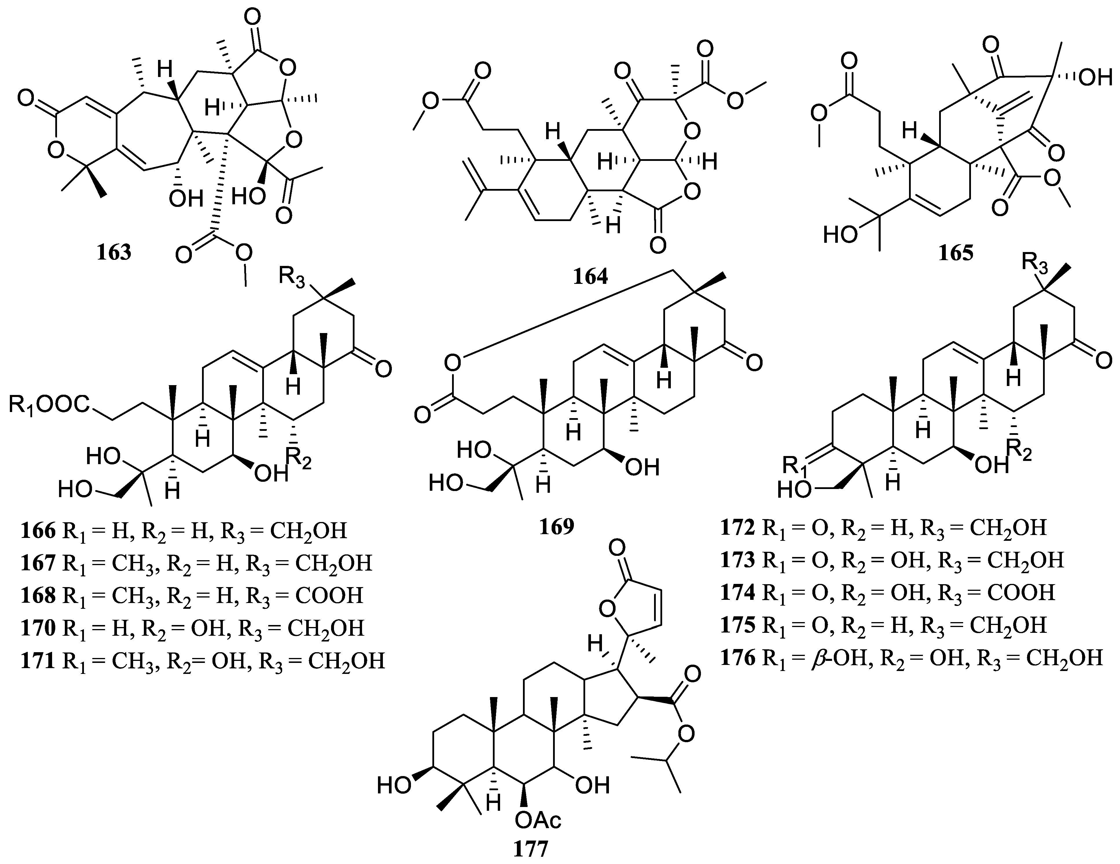 Marinedrugs 22 00424 g012