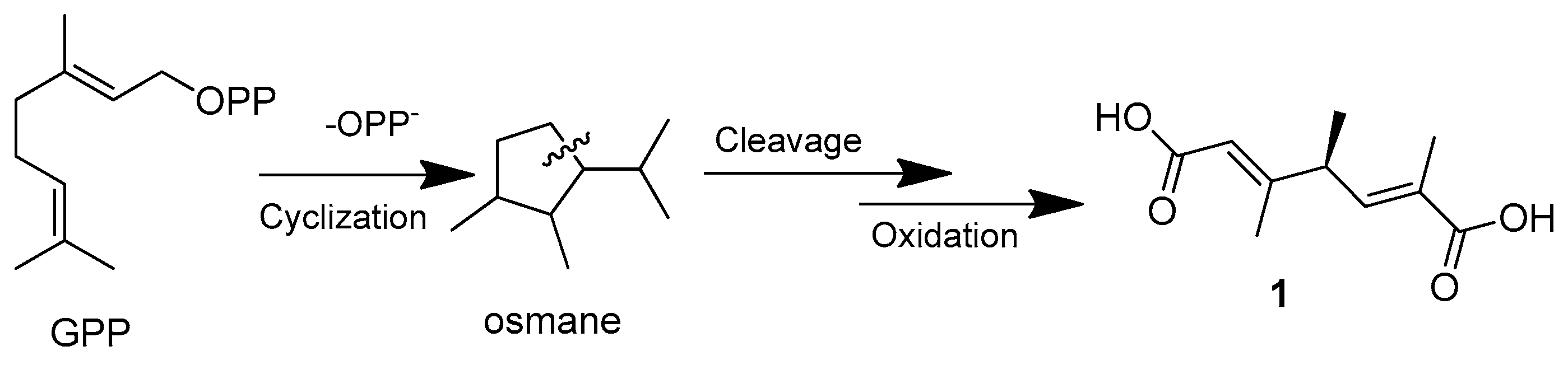 Marinedrugs 22 00433 sch001