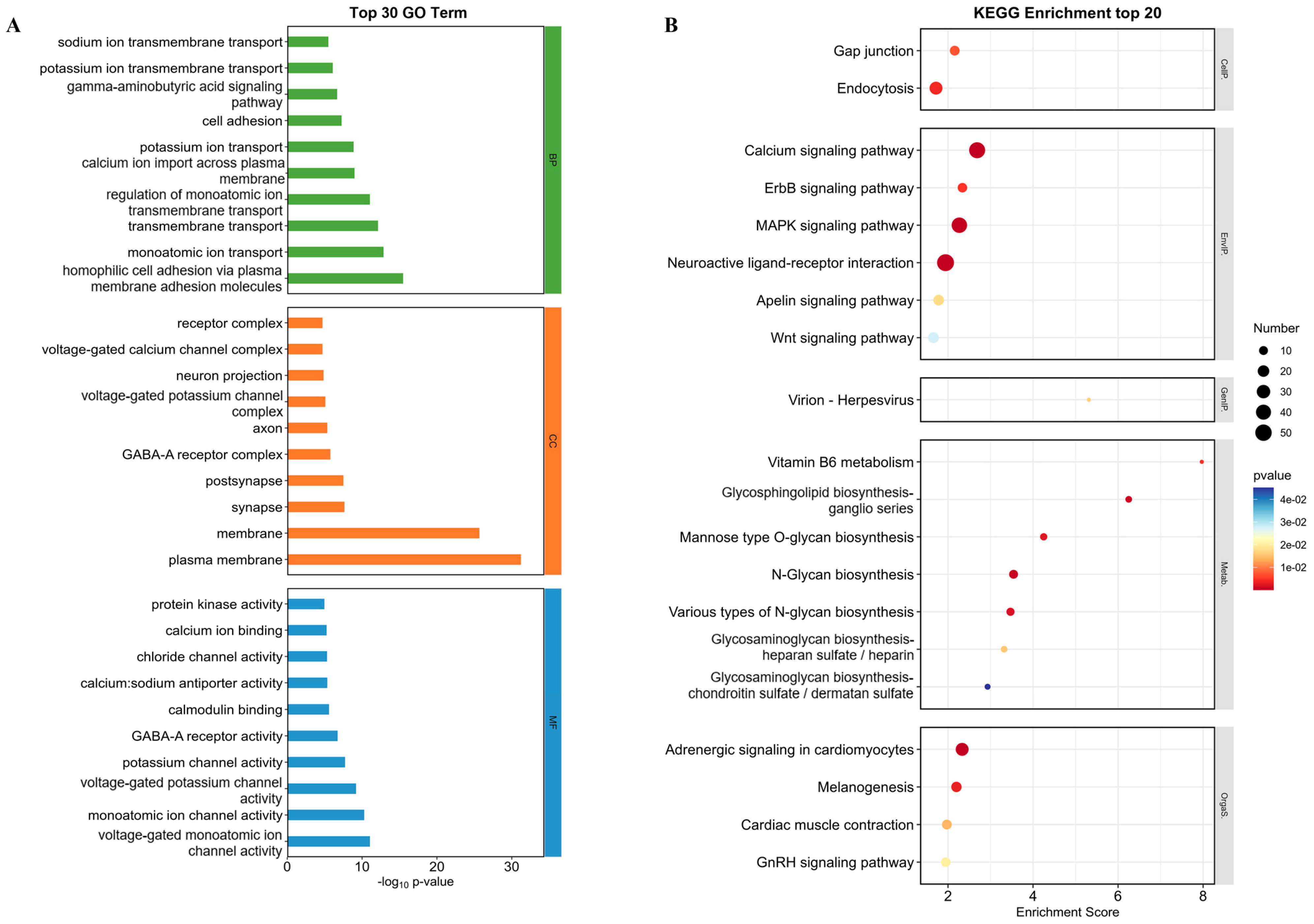 Marinedrugs 22 00439 g007