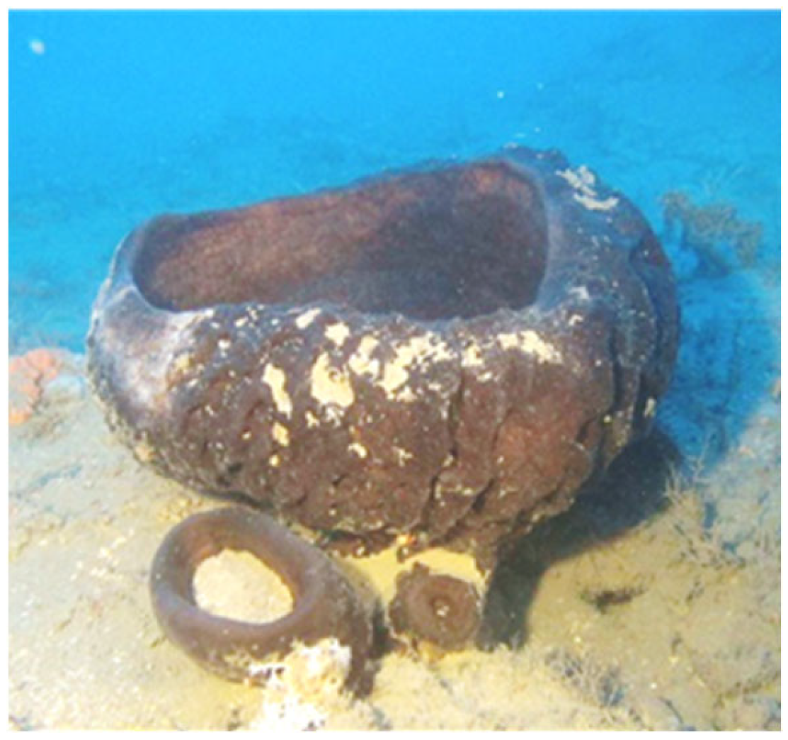 Marinedrugs 22 00440 g001