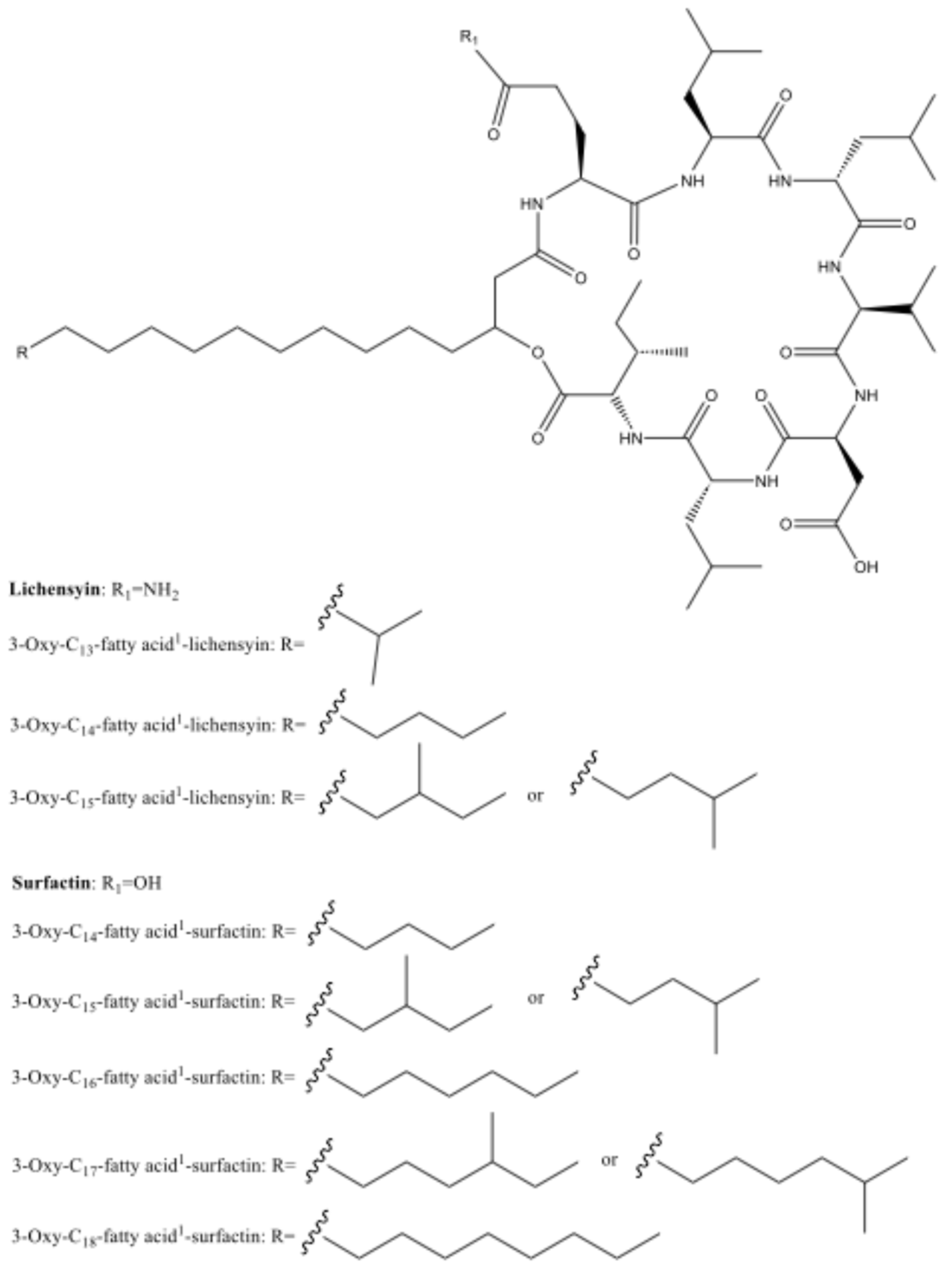 Marinedrugs 22 00440 g005