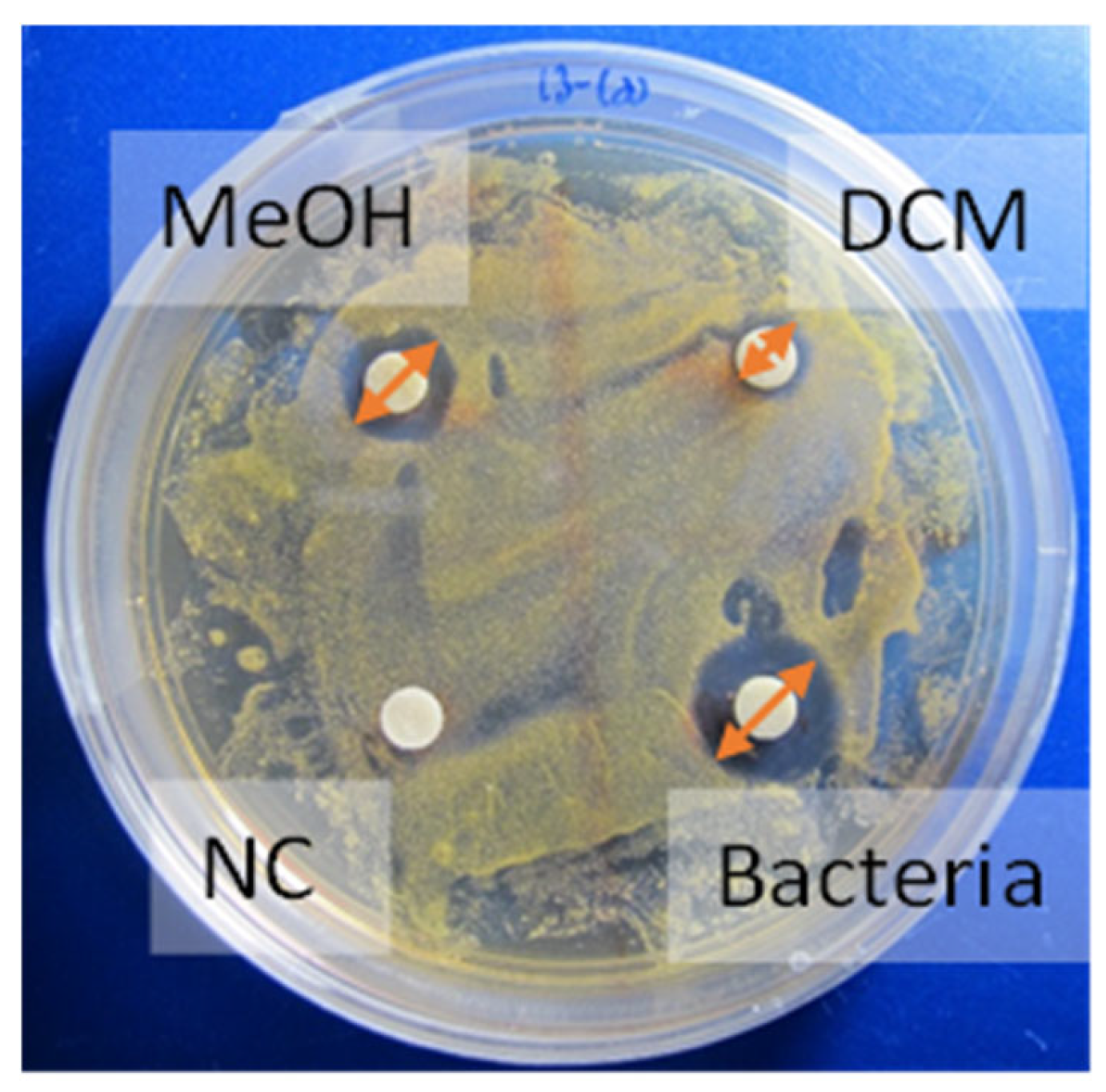 Marinedrugs 22 00440 g007