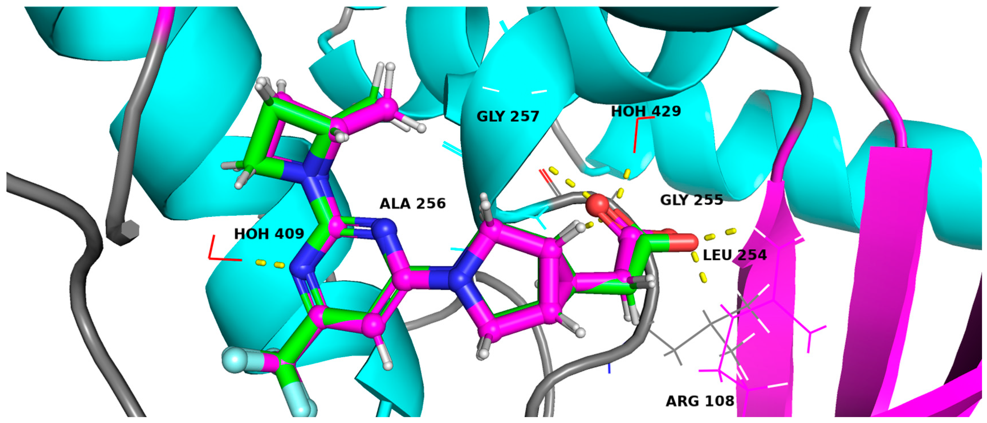 Marinedrugs 22 00455 g004 Marinedrugs 22 00455 g004