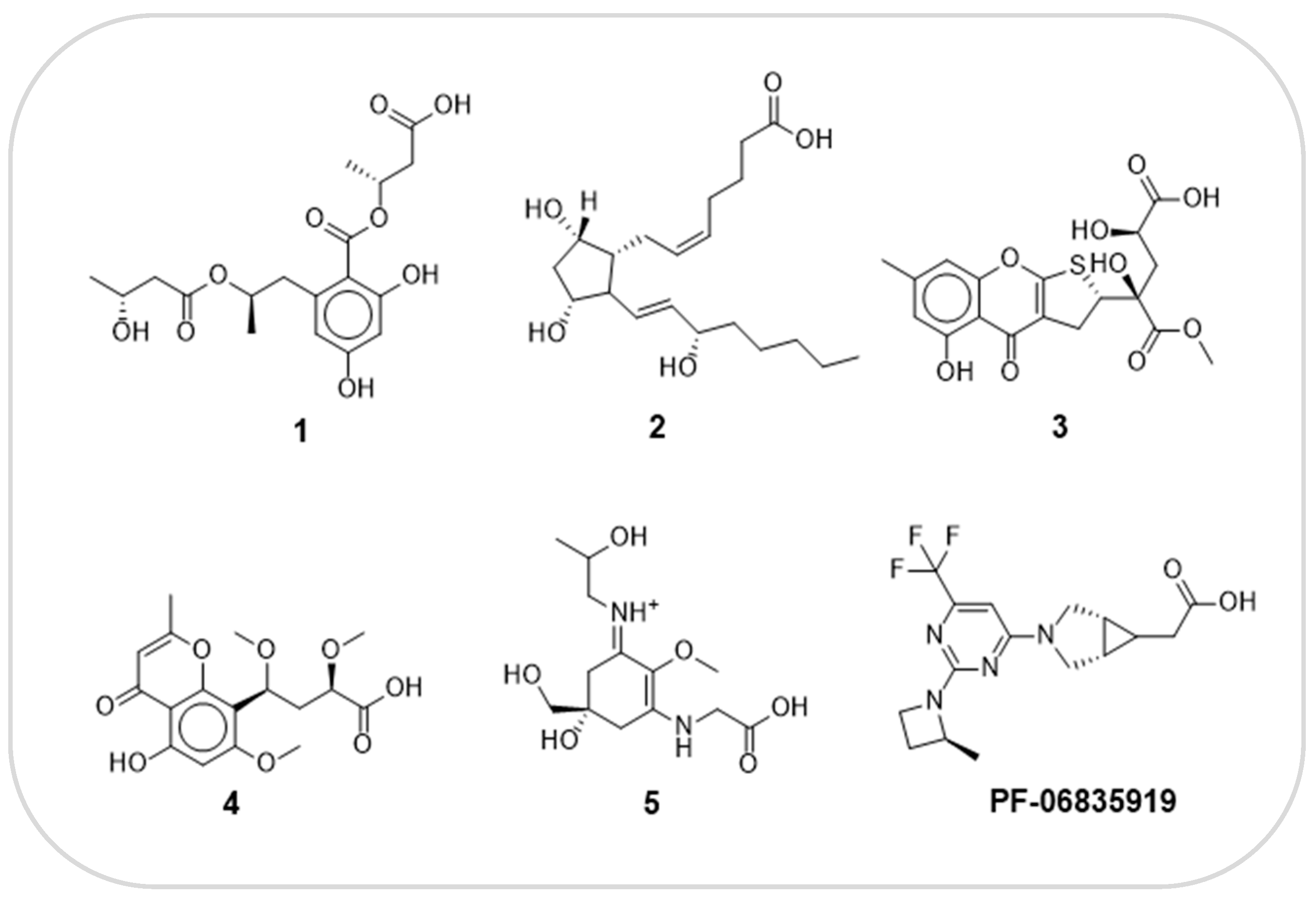 Marinedrugs 22 00455 g005 Marinedrugs 22 00455 g005