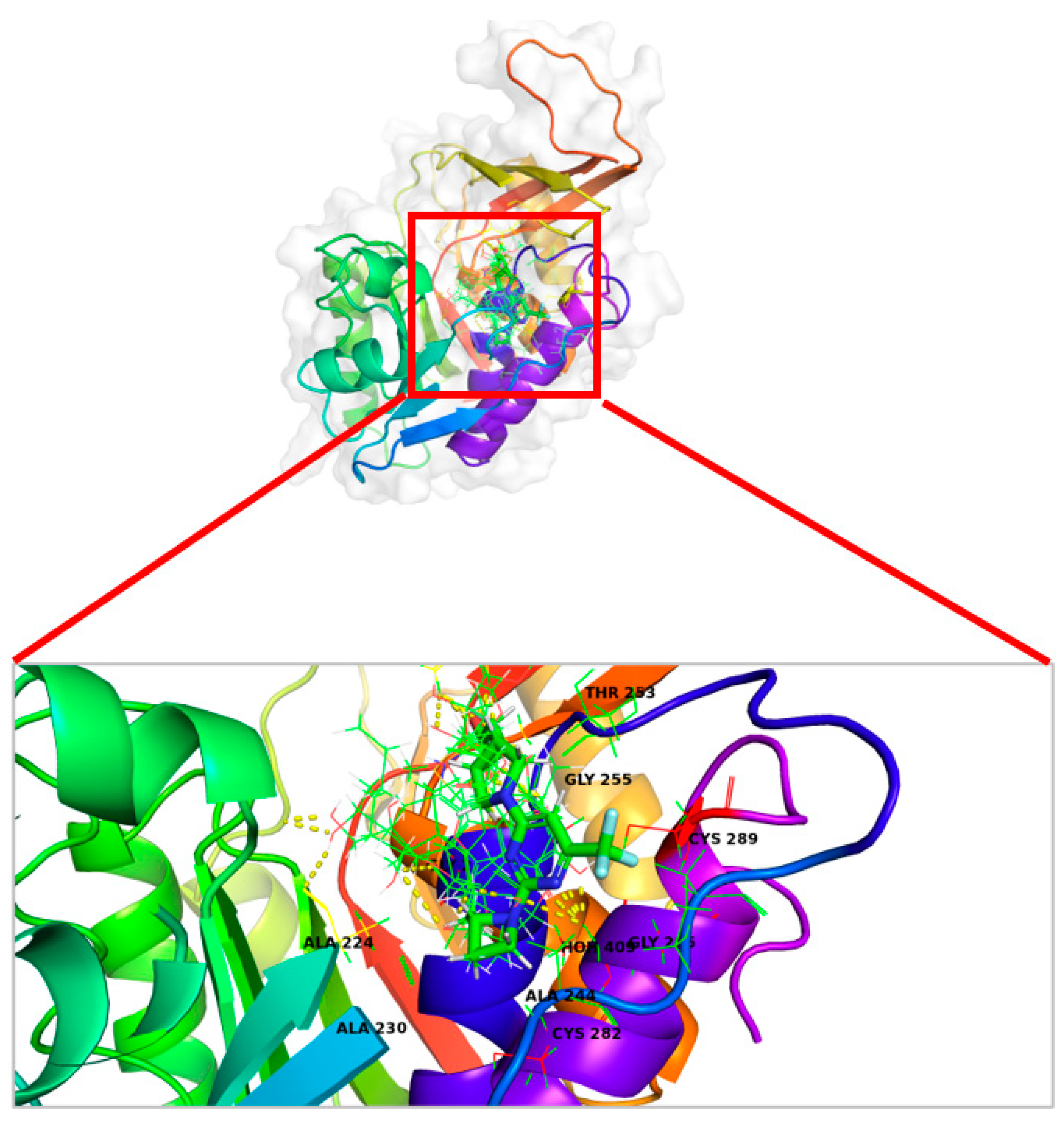 Marinedrugs 22 00455 g007 Marinedrugs 22 00455 g007