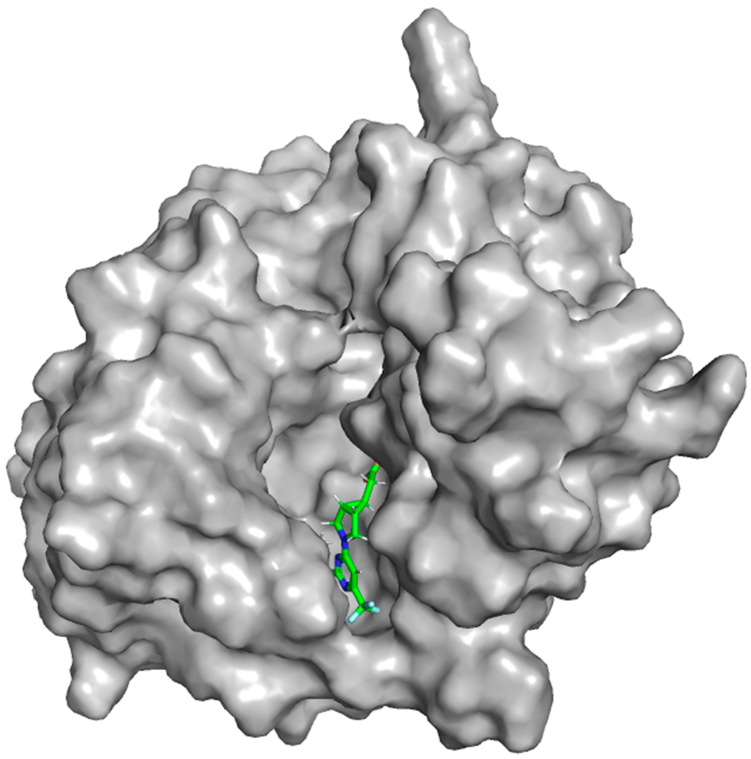 Marinedrugs 22 00455 g012 Marinedrugs 22 00455 g012