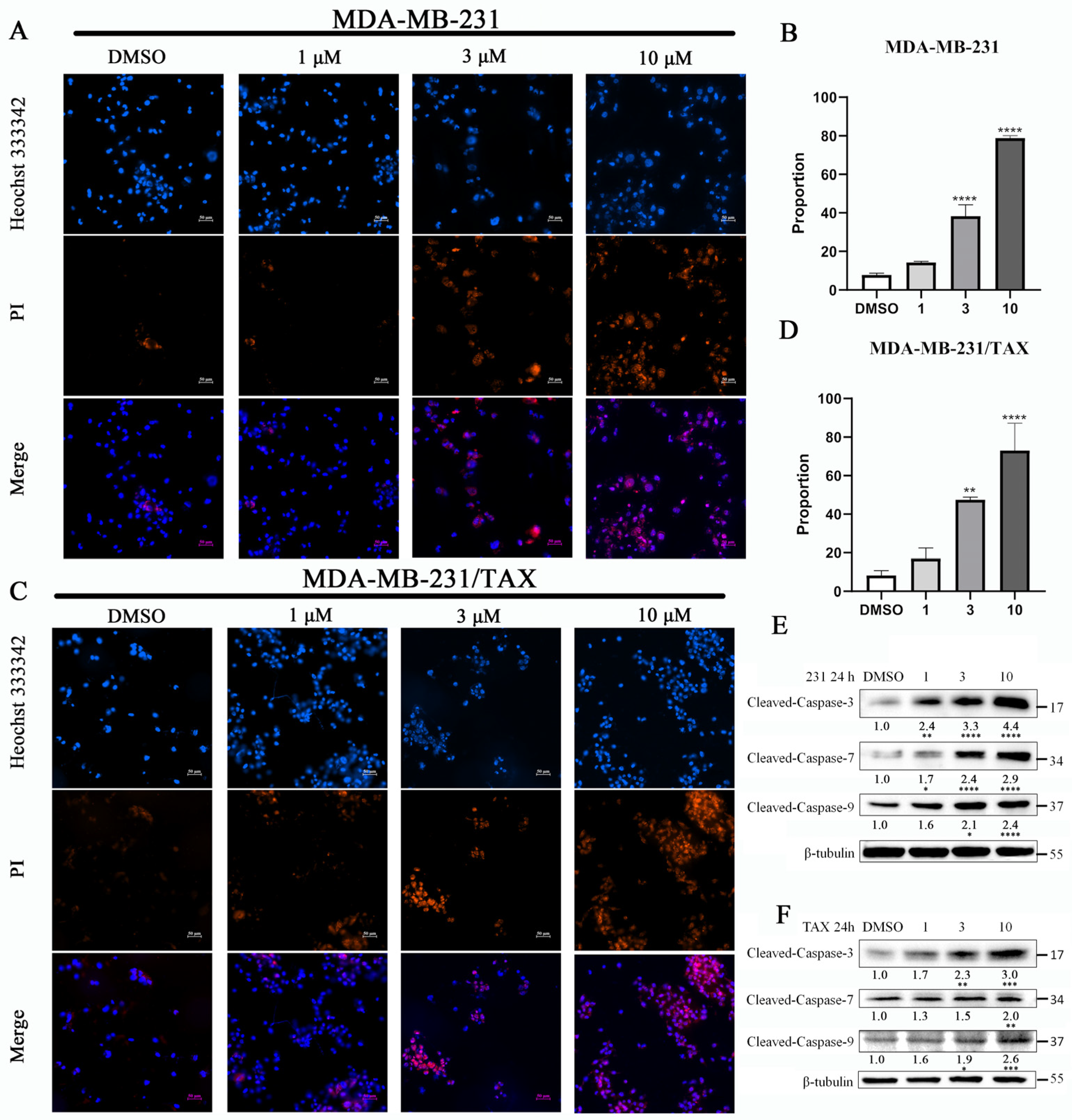 Marinedrugs 22 00459 g003