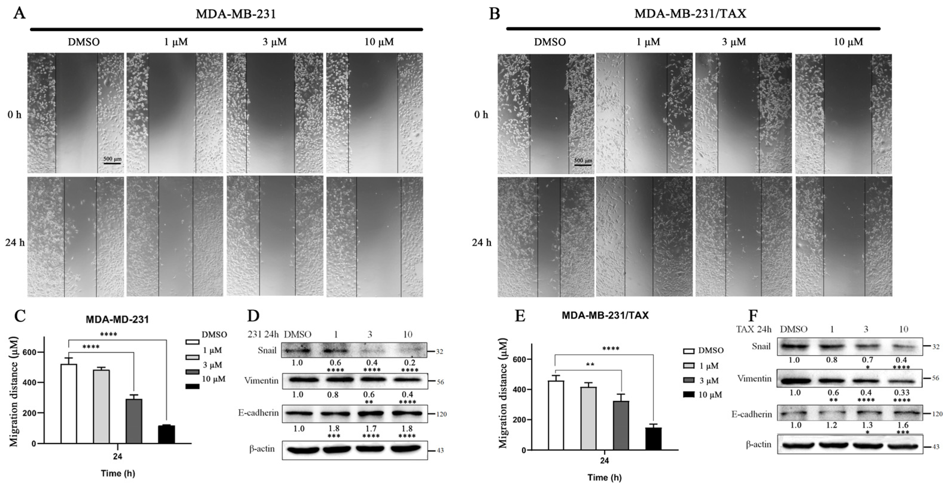 Marinedrugs 22 00459 g006