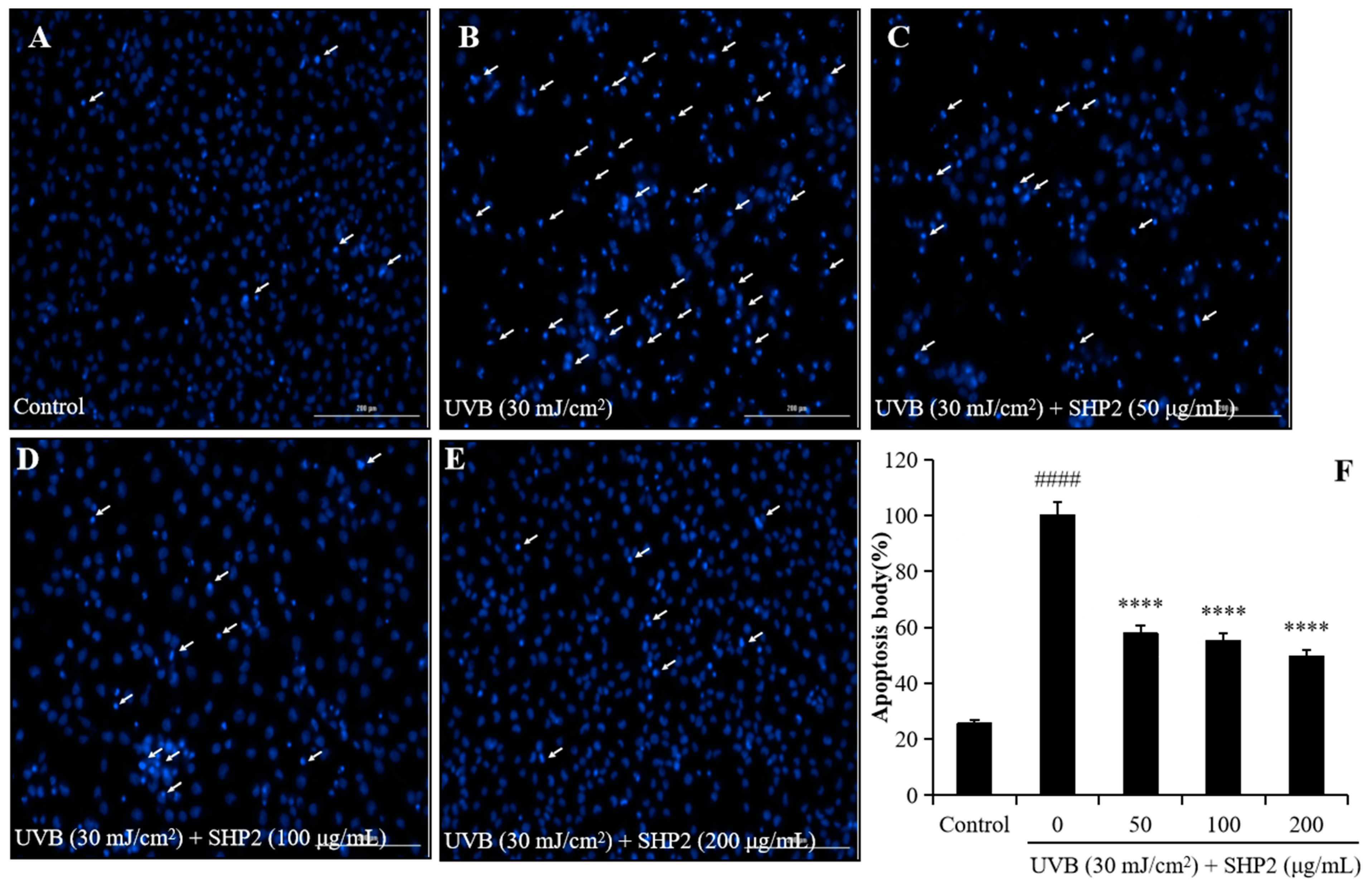 Marinedrugs 22 00471 g002