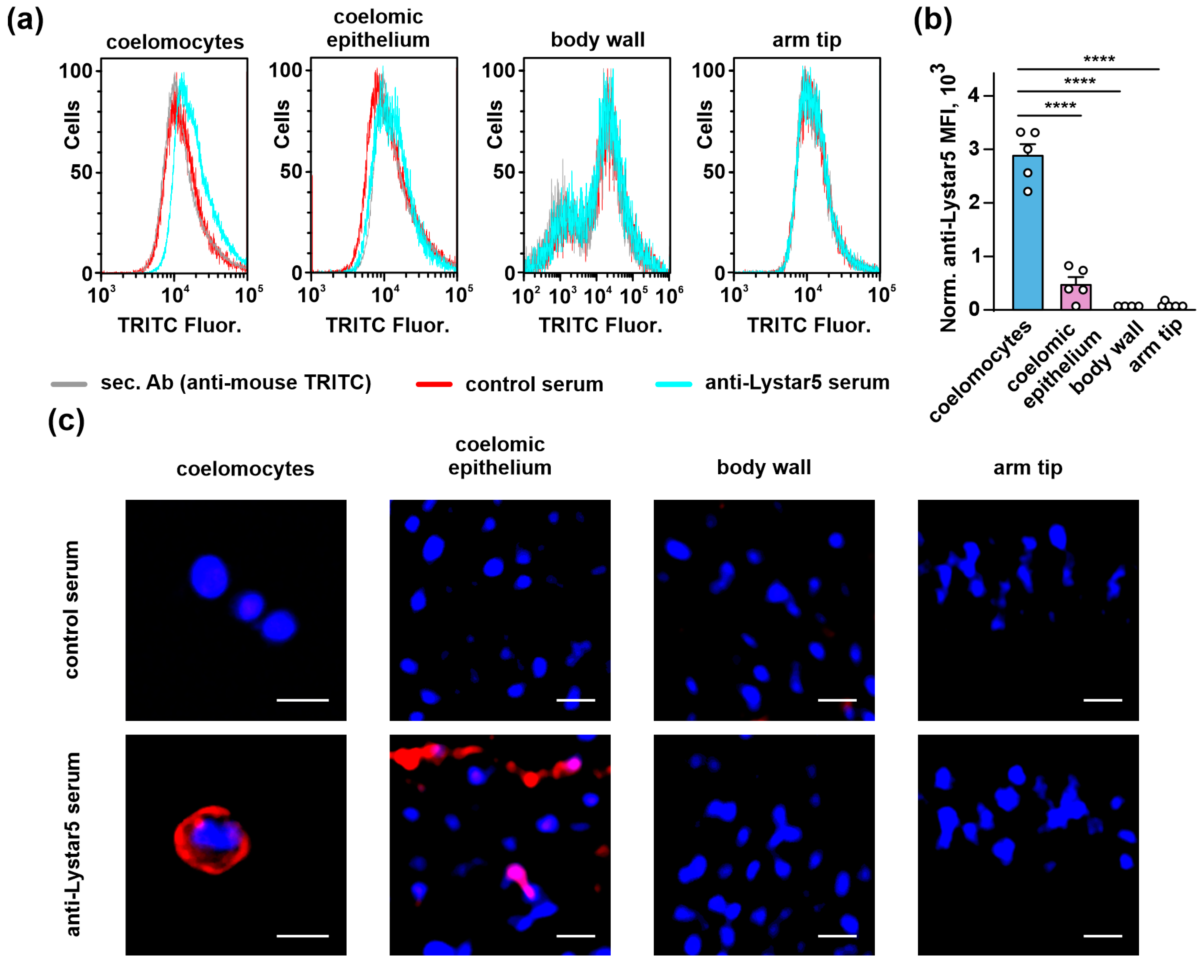 Marinedrugs 22 00488 g005