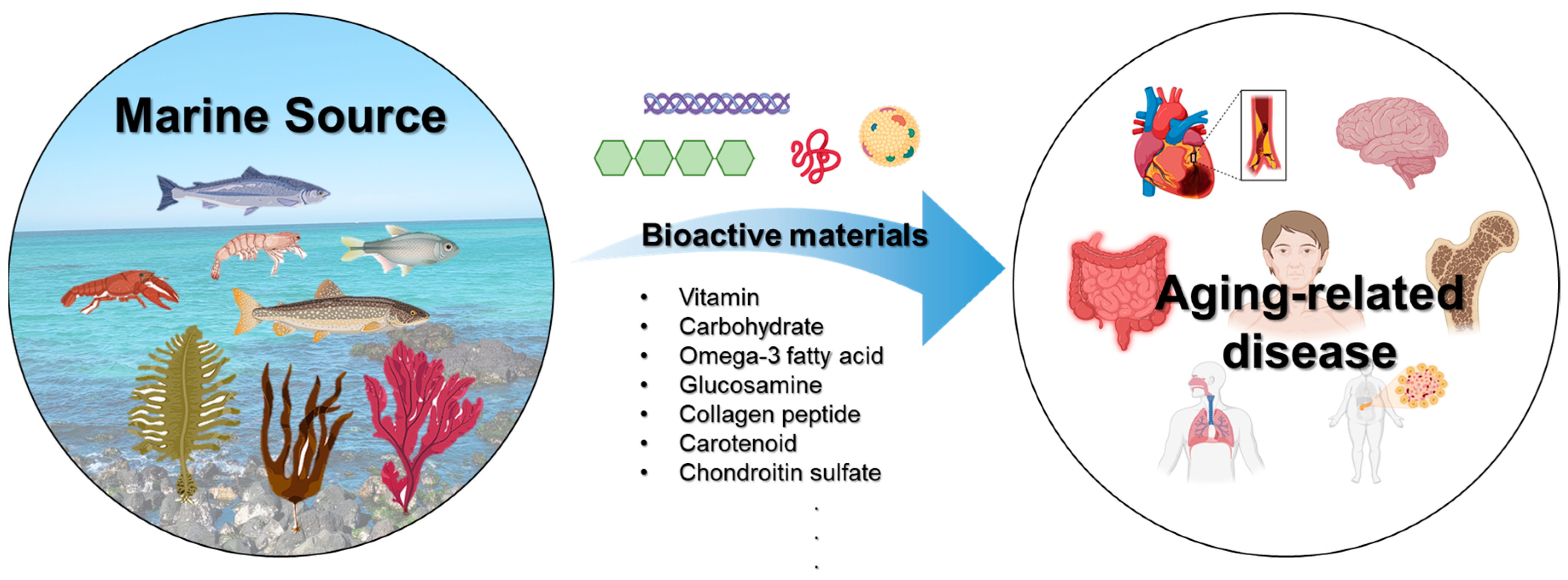 Marinedrugs 22 00496 g002