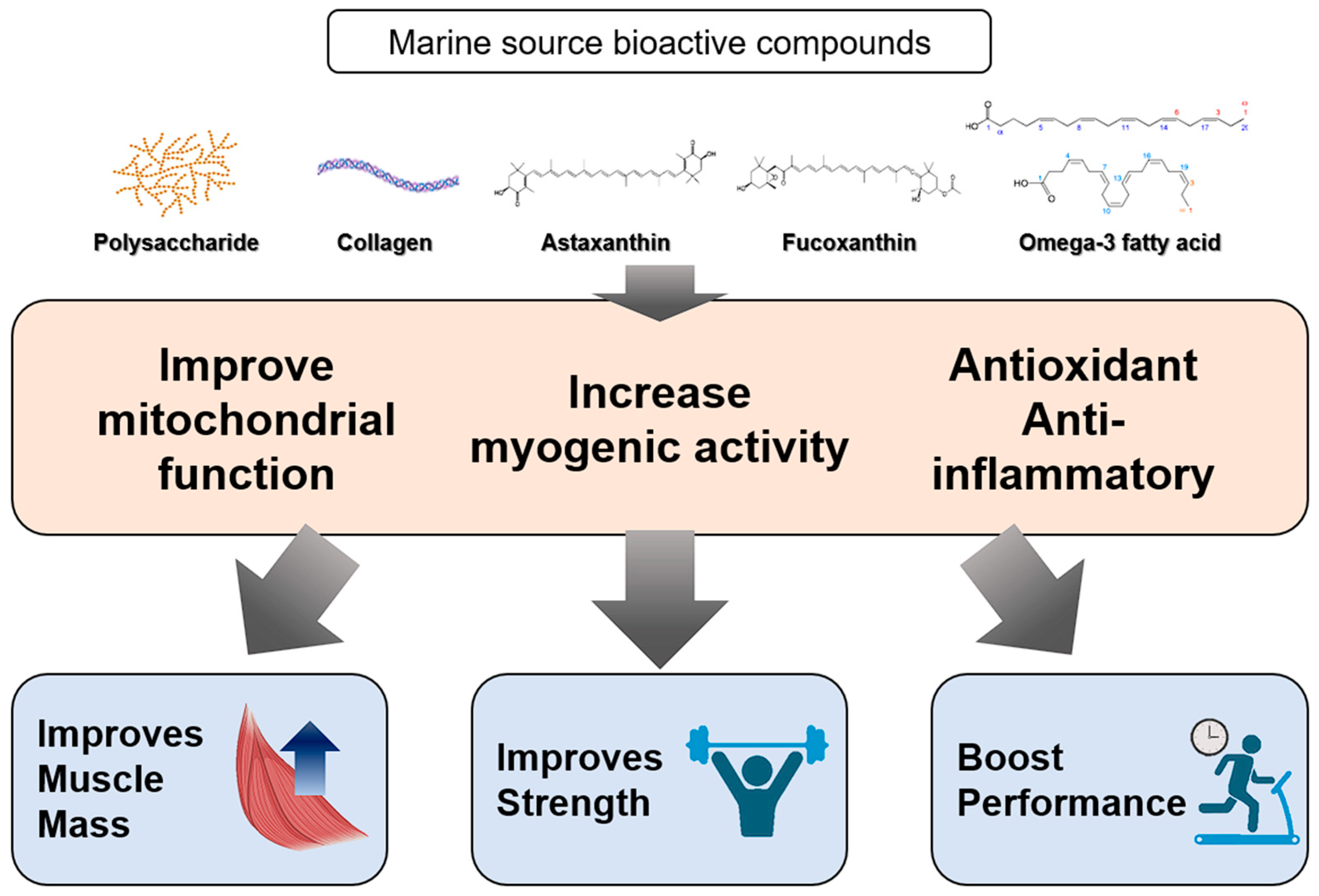Marinedrugs 22 00496 g005