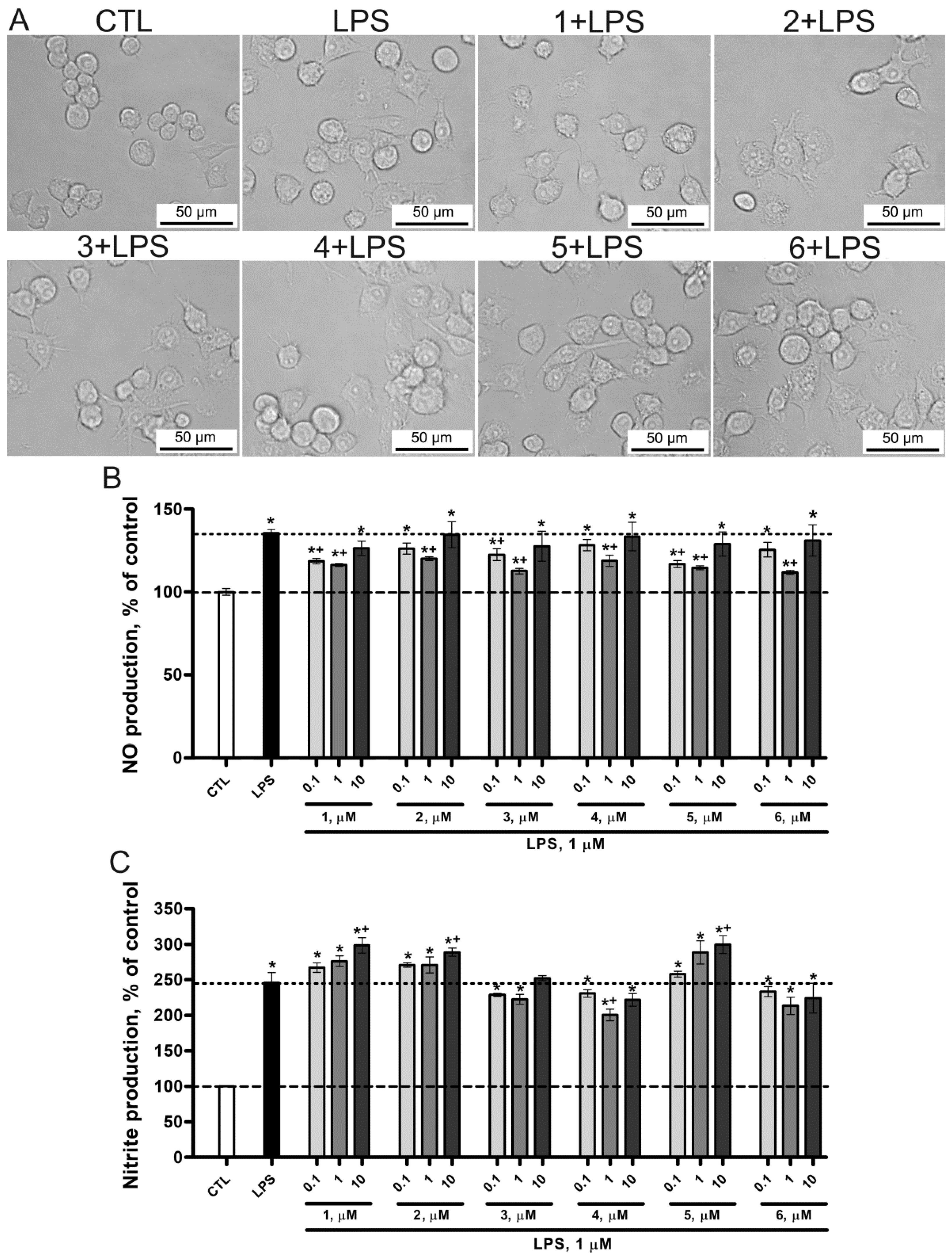 Marinedrugs 22 00508 g005