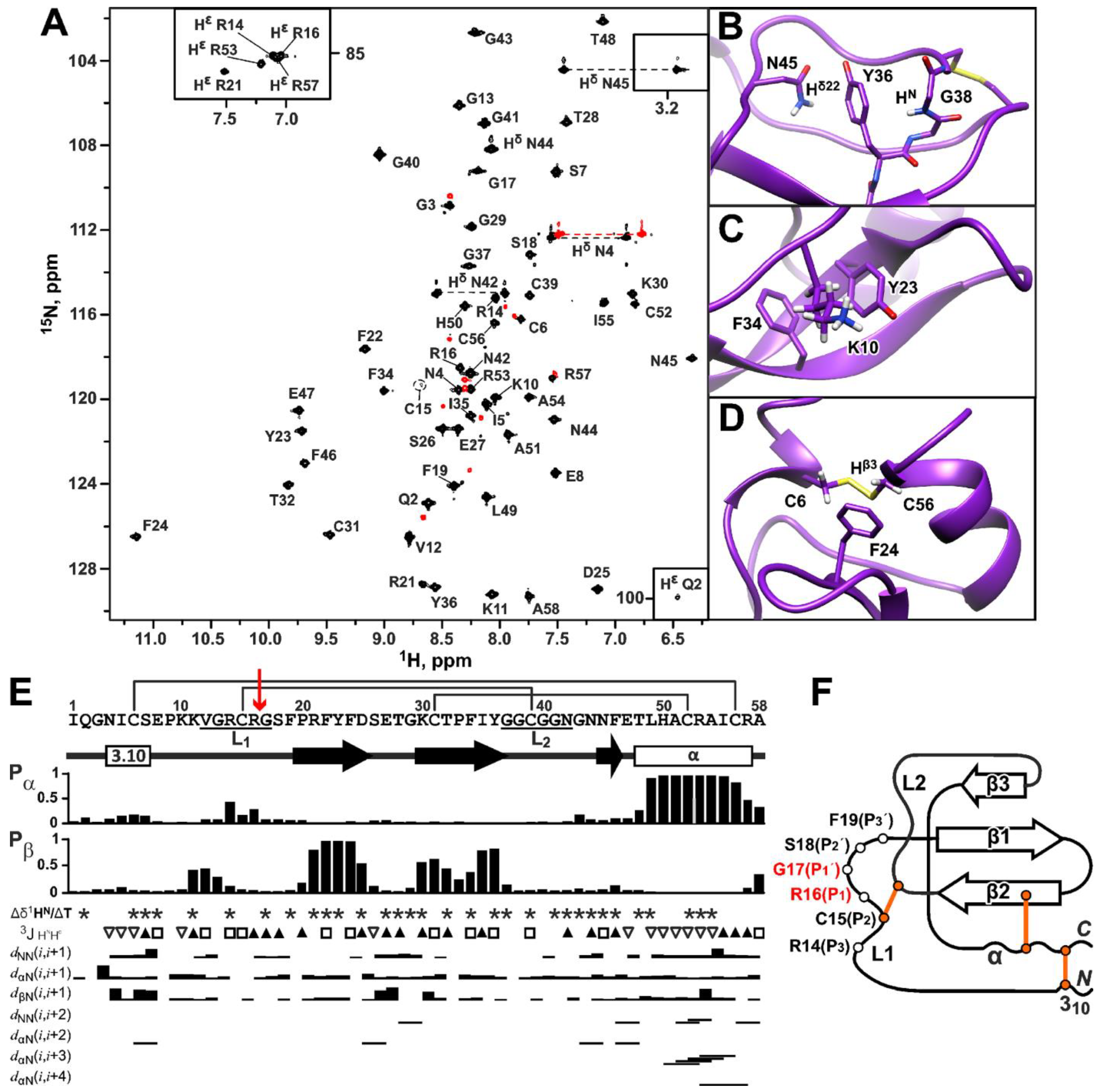 Marinedrugs 22 00542 g004 Marinedrugs 22 00542 g004