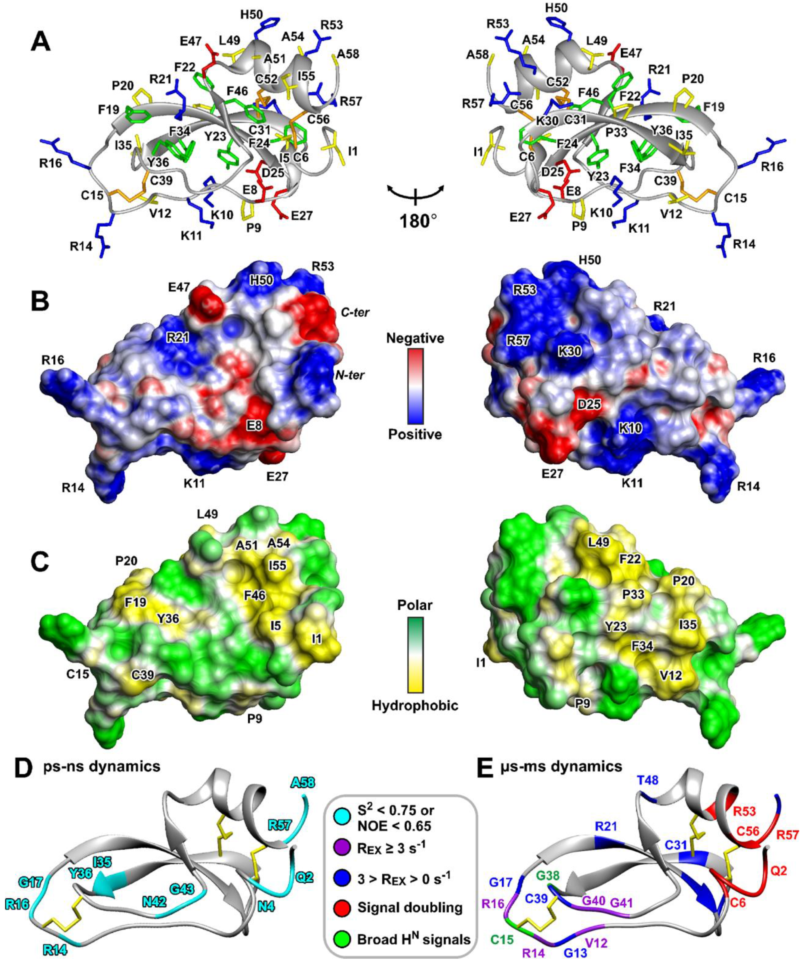 Marinedrugs 22 00542 g005 Marinedrugs 22 00542 g005