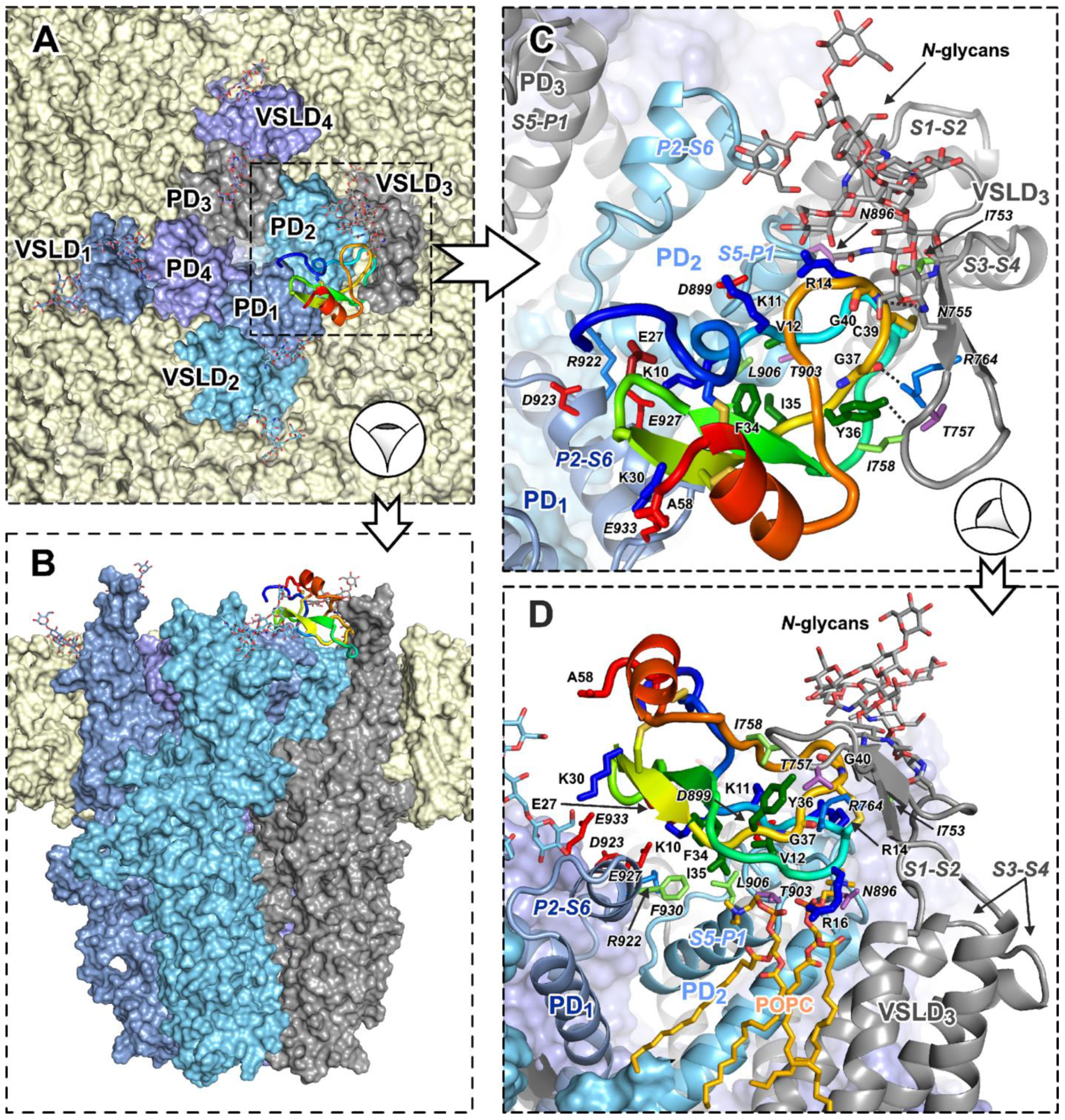 Marinedrugs 22 00542 g007 Marinedrugs 22 00542 g007