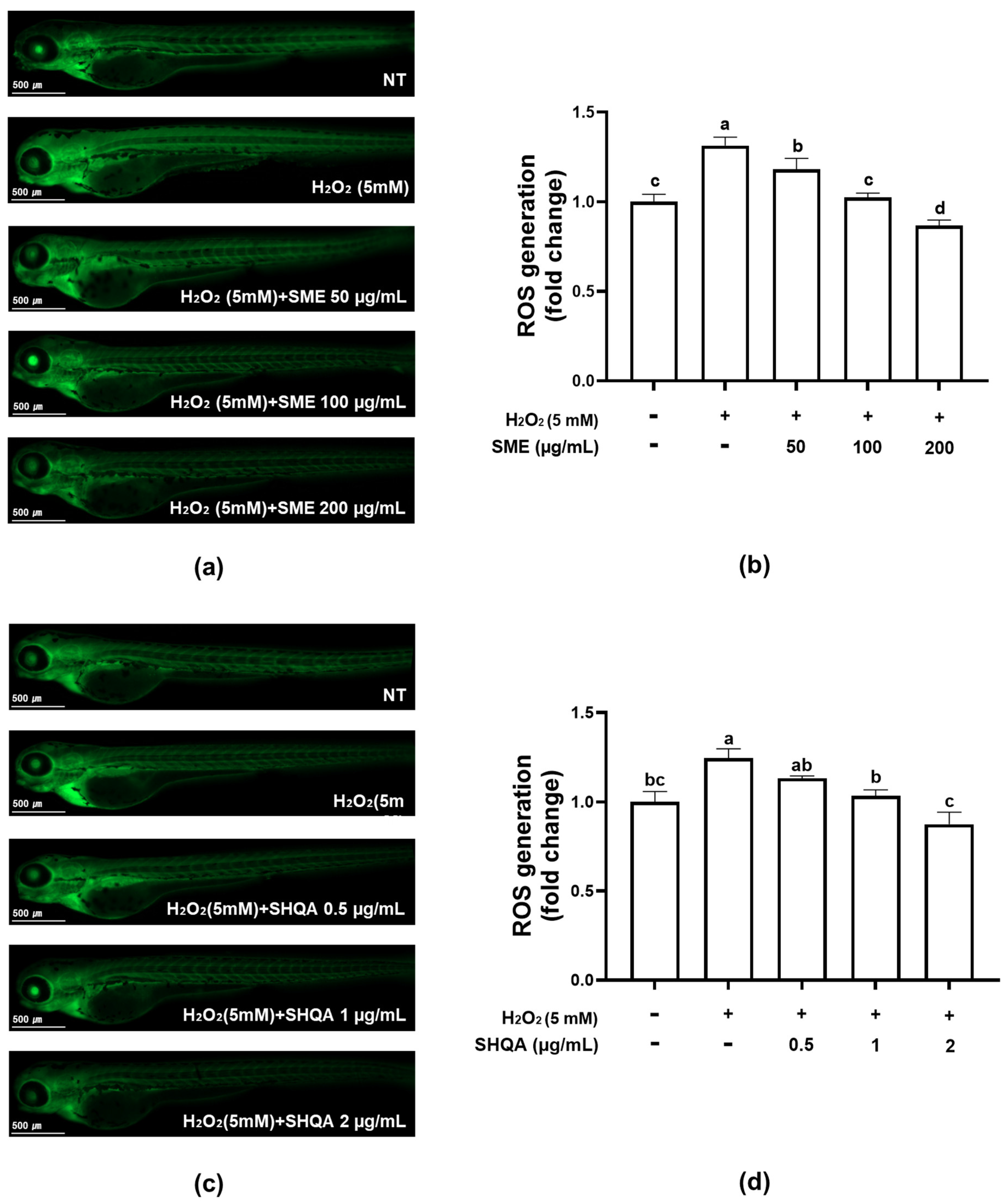 Marinedrugs 22 00543 g002