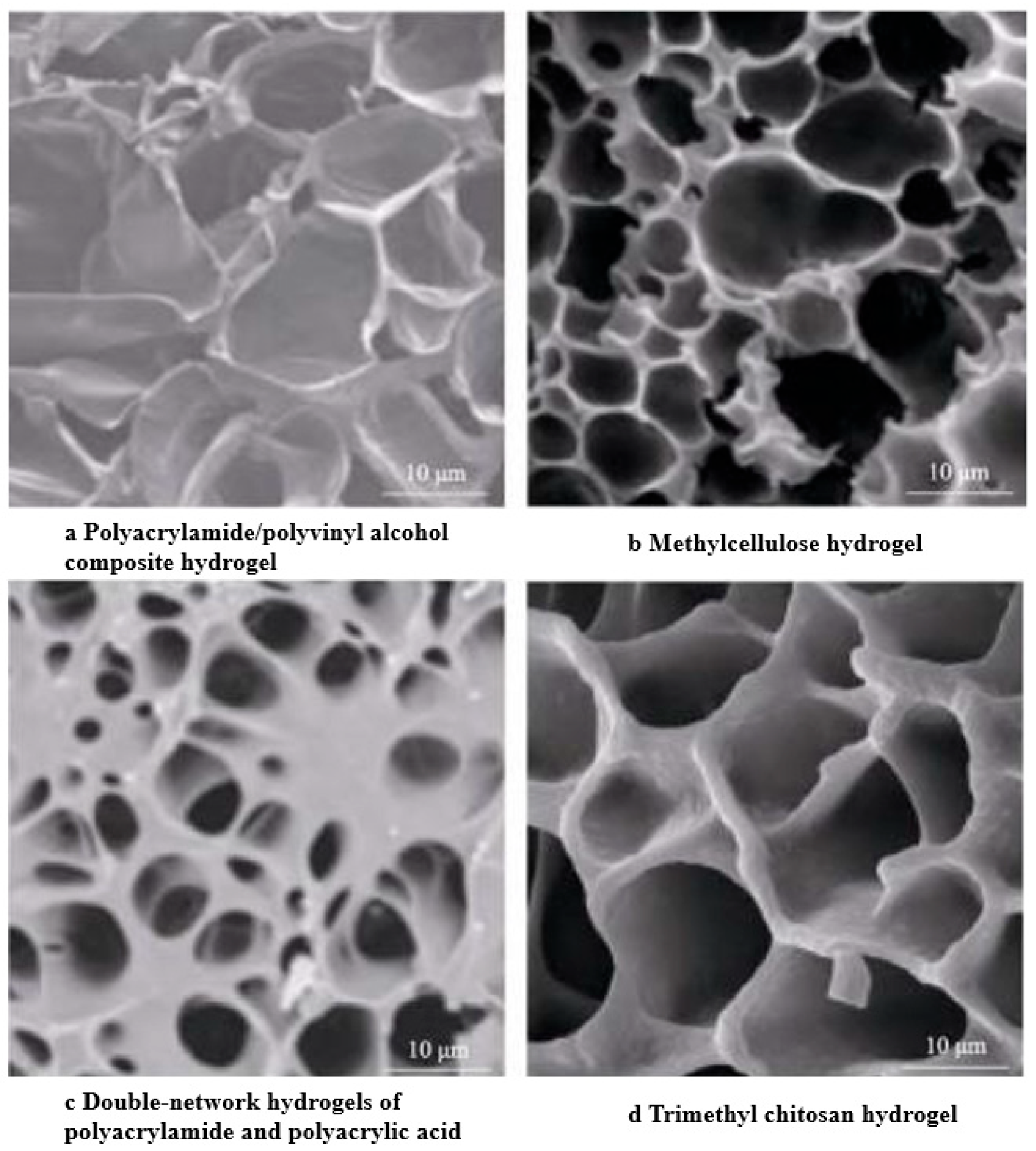 Marinedrugs 22 00546 g001