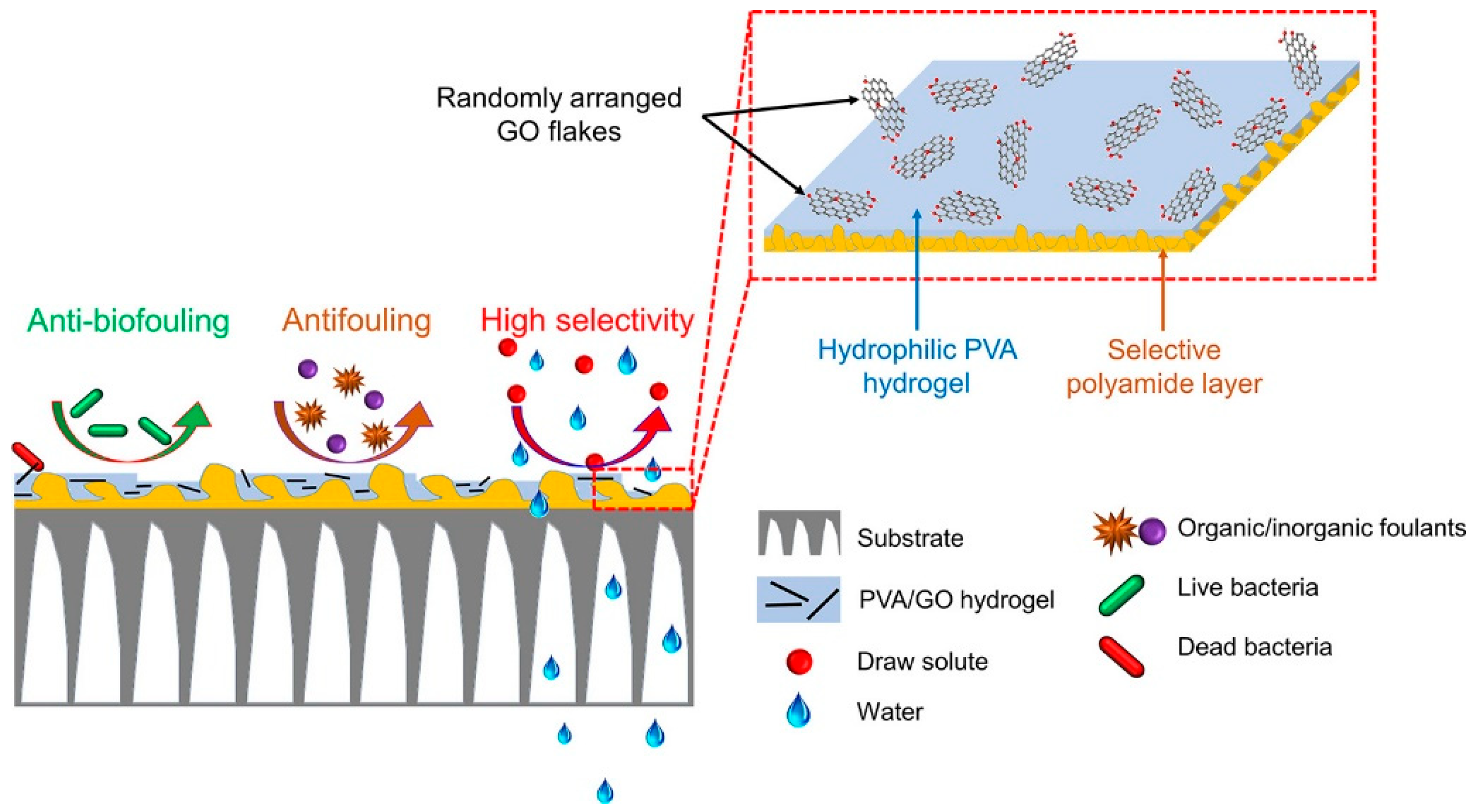 Marinedrugs 22 00546 g008
