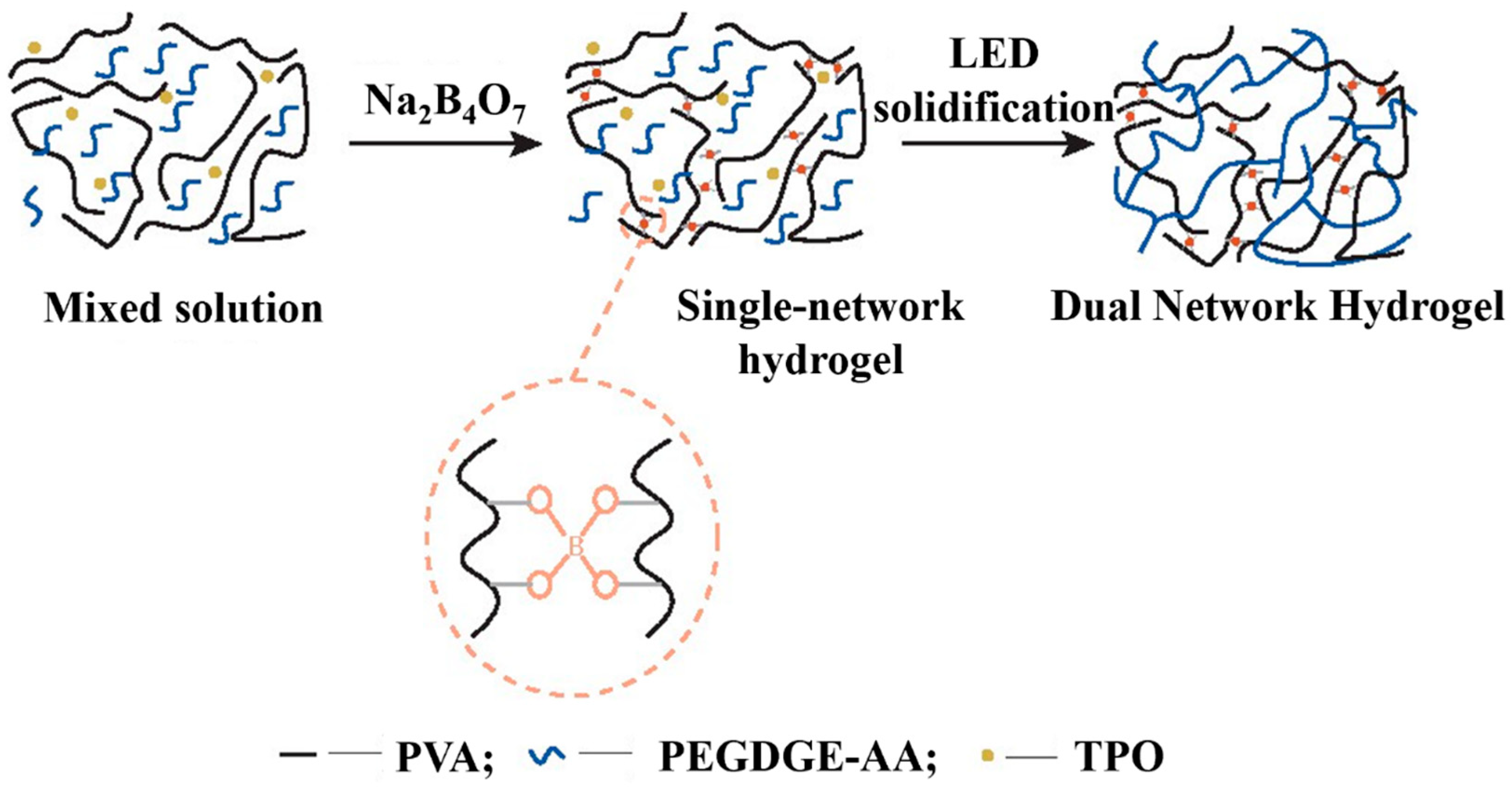 Marinedrugs 22 00546 g015