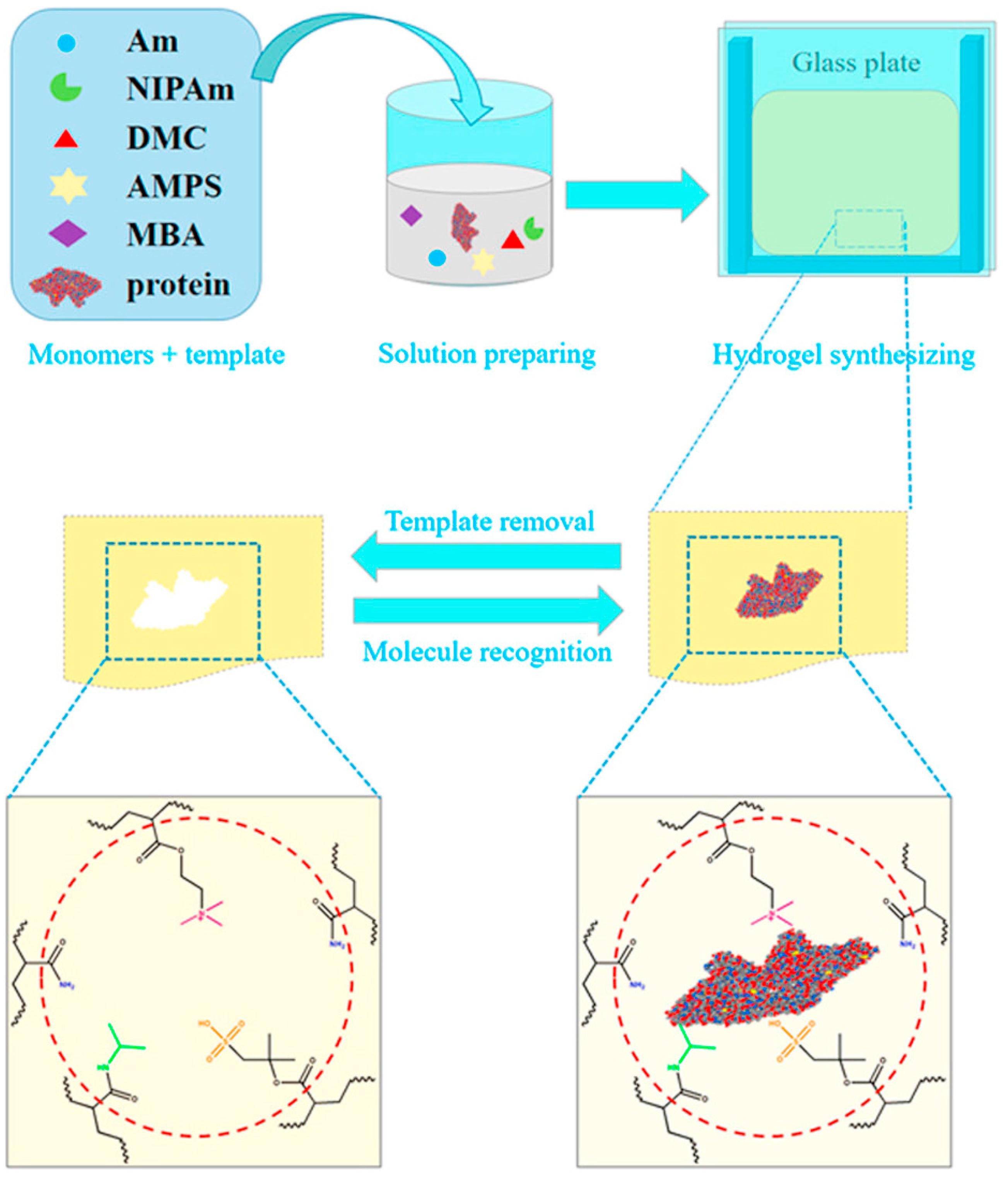 Marinedrugs 22 00546 g016