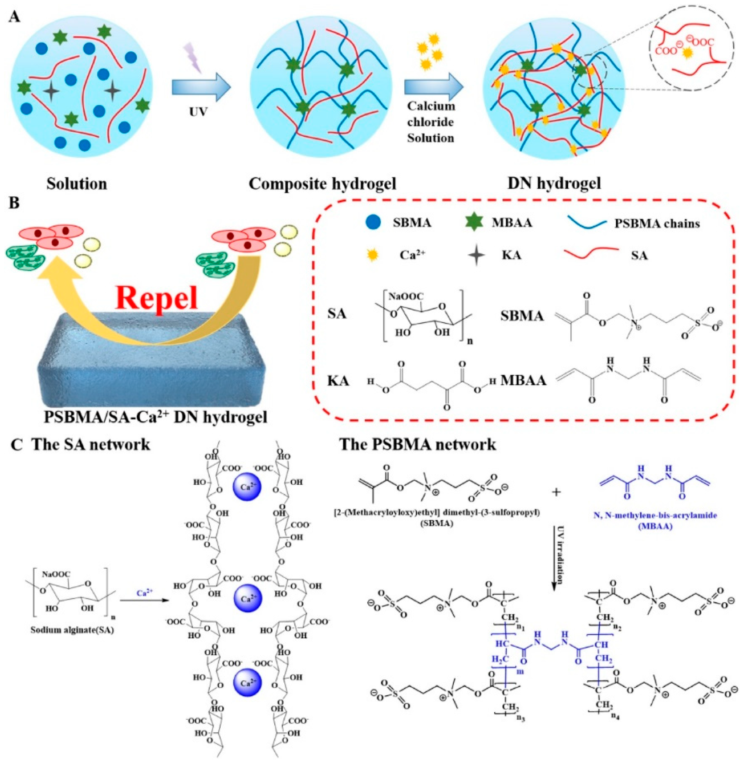 Marinedrugs 22 00546 g017