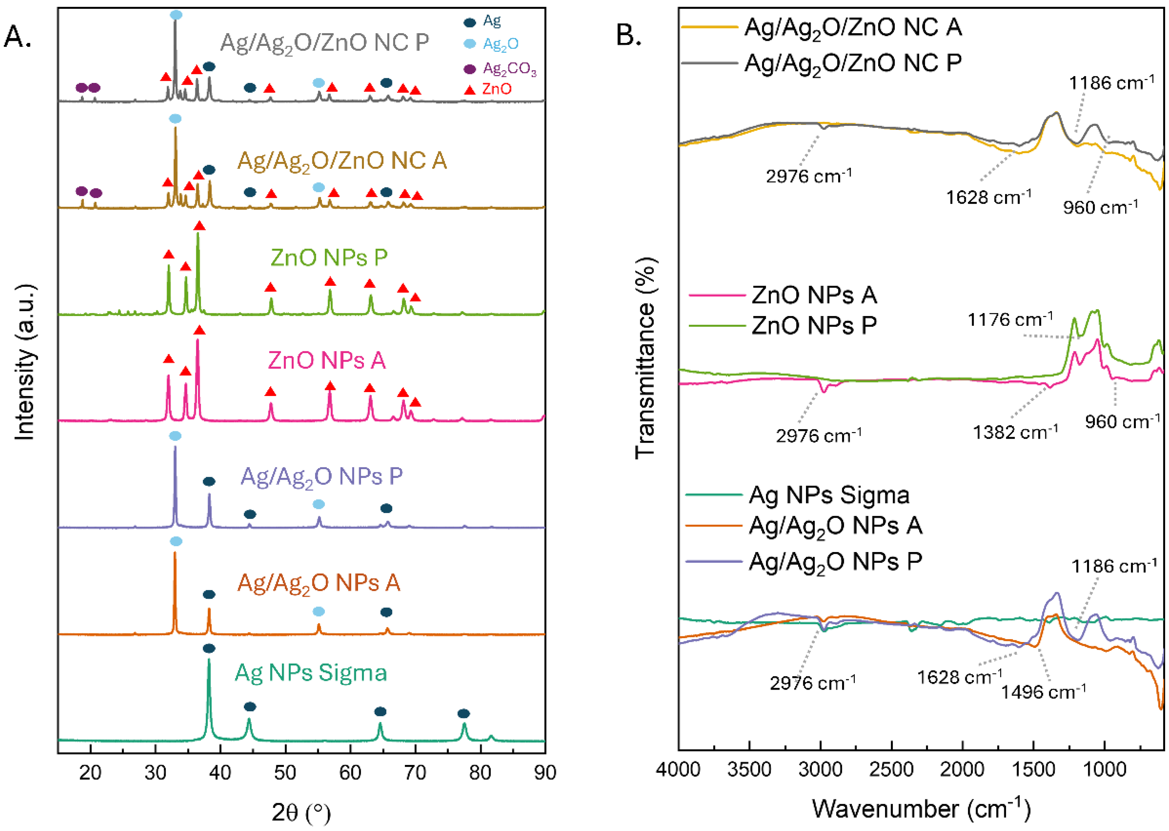 Marinedrugs 22 00549 g002
