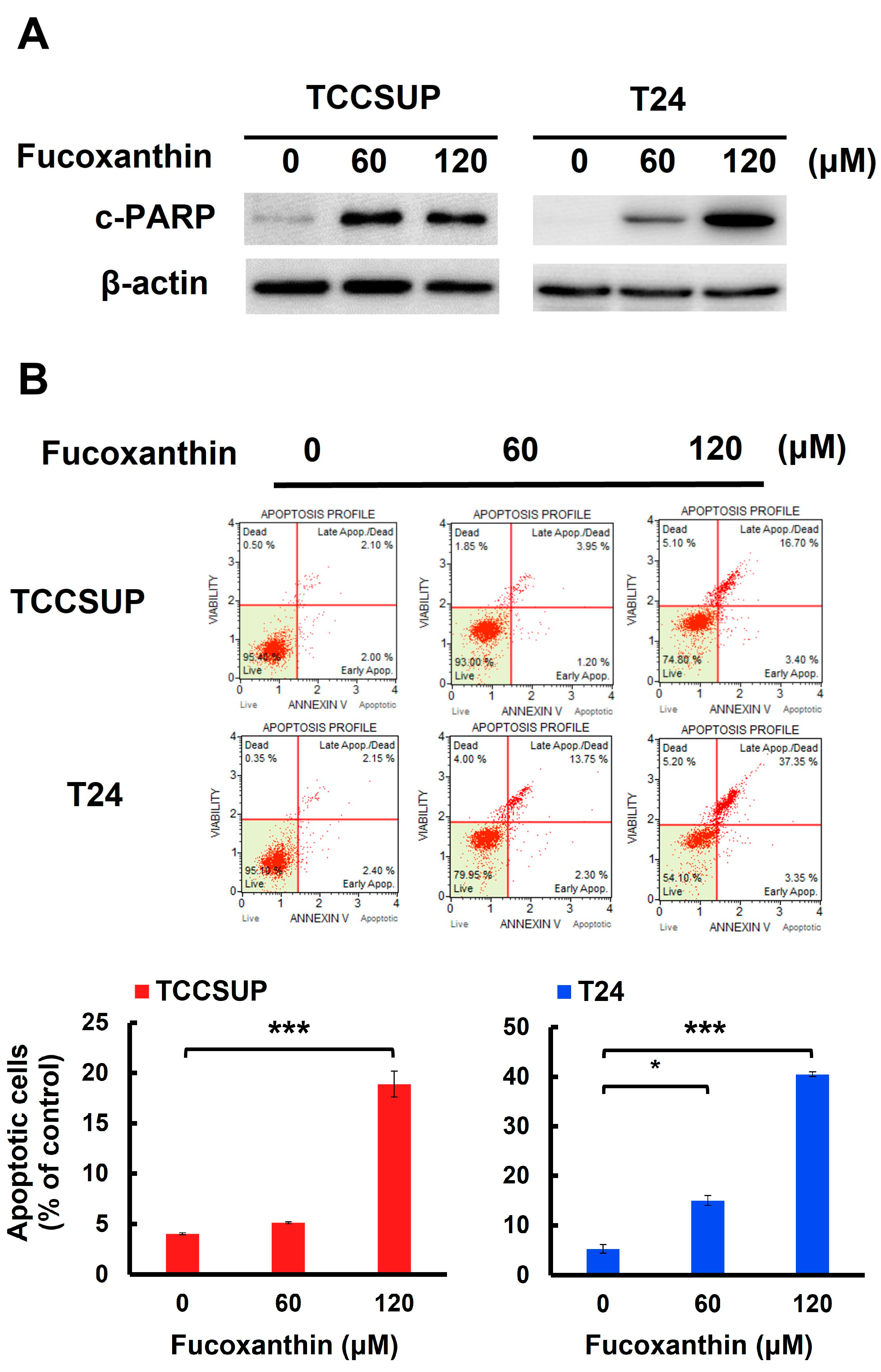 Marinedrugs 23 00054 g002a