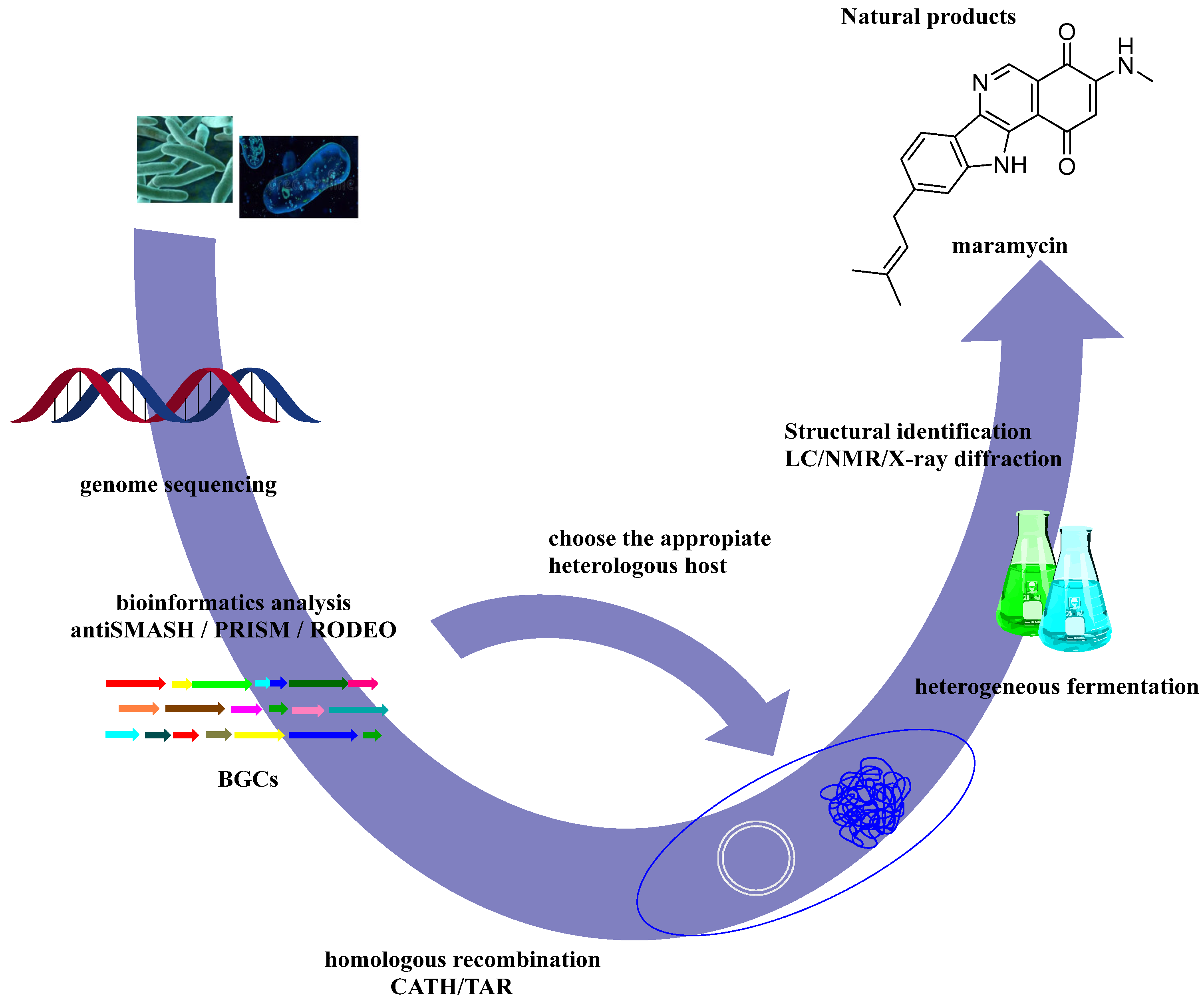 Marinedrugs 23 00069 g012 Marinedrugs 23 00069 g012