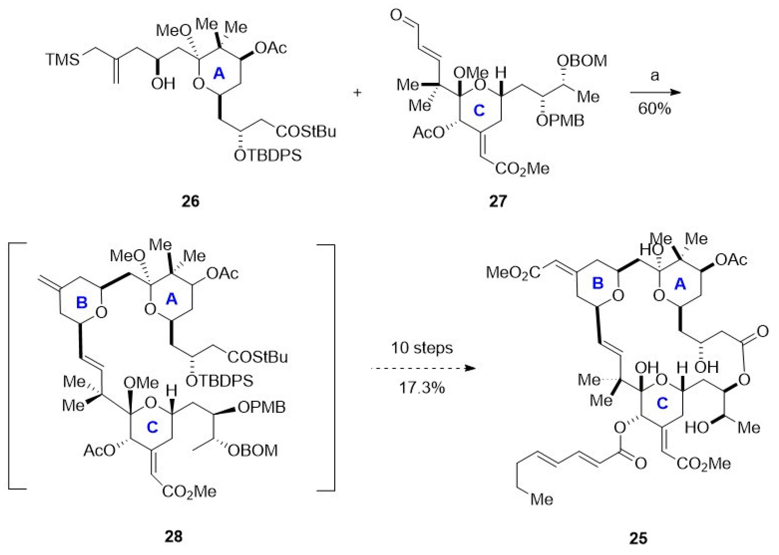 Marinedrugs 23 00069 sch009 Marinedrugs 23 00069 sch009