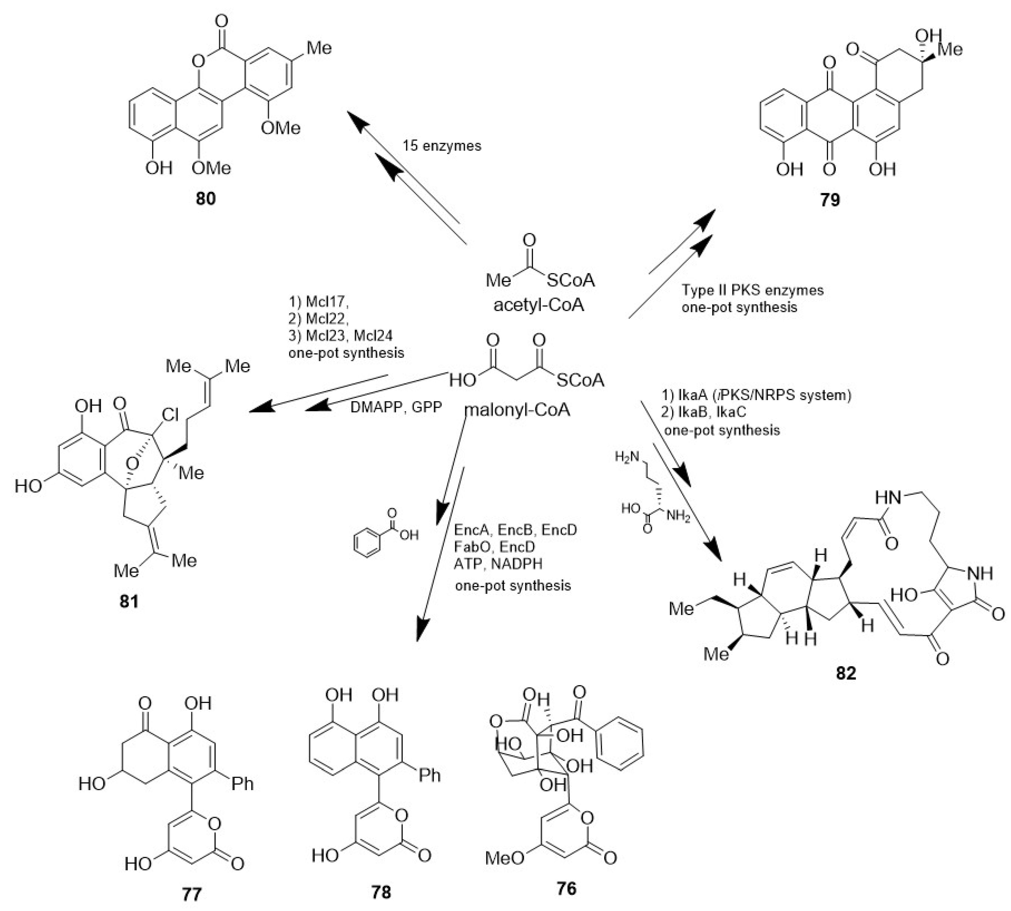 Marinedrugs 23 00069 sch021 Marinedrugs 23 00069 sch021