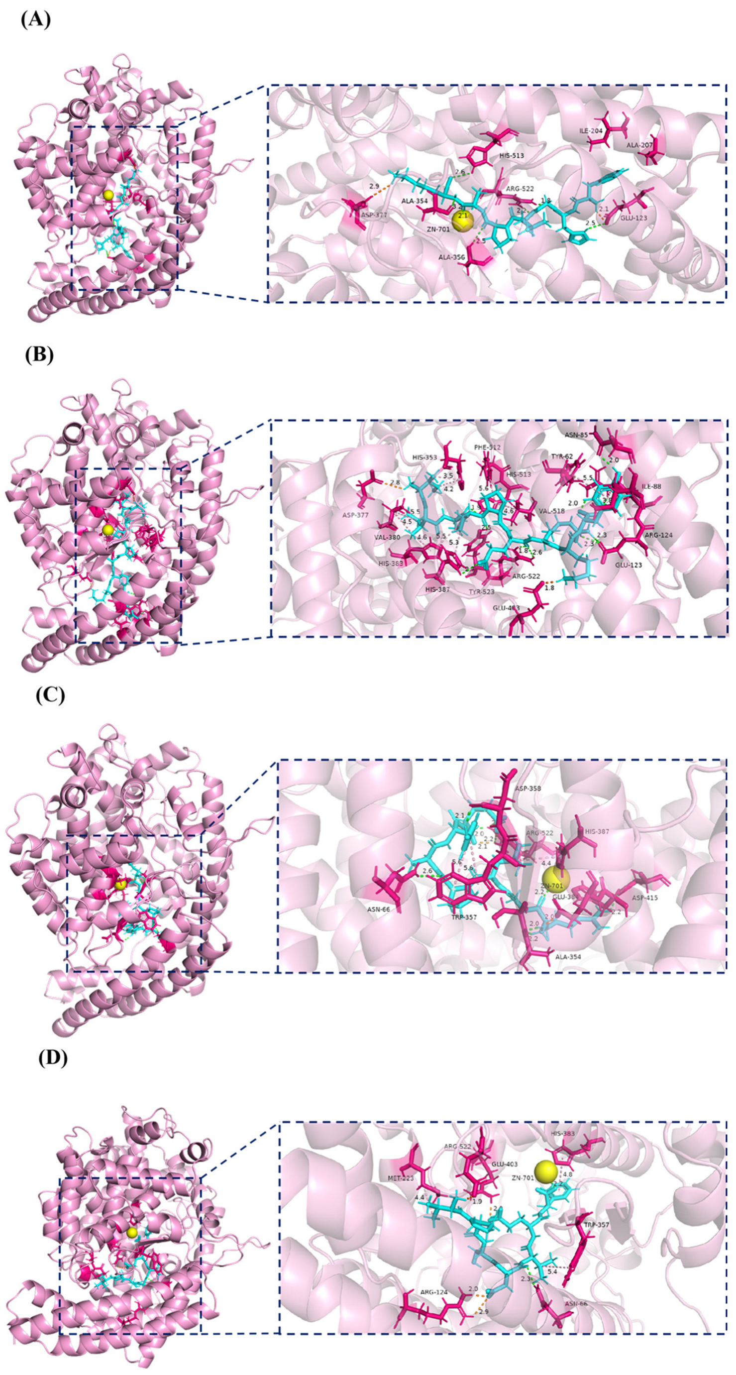 Marinedrugs 23 00081 g005