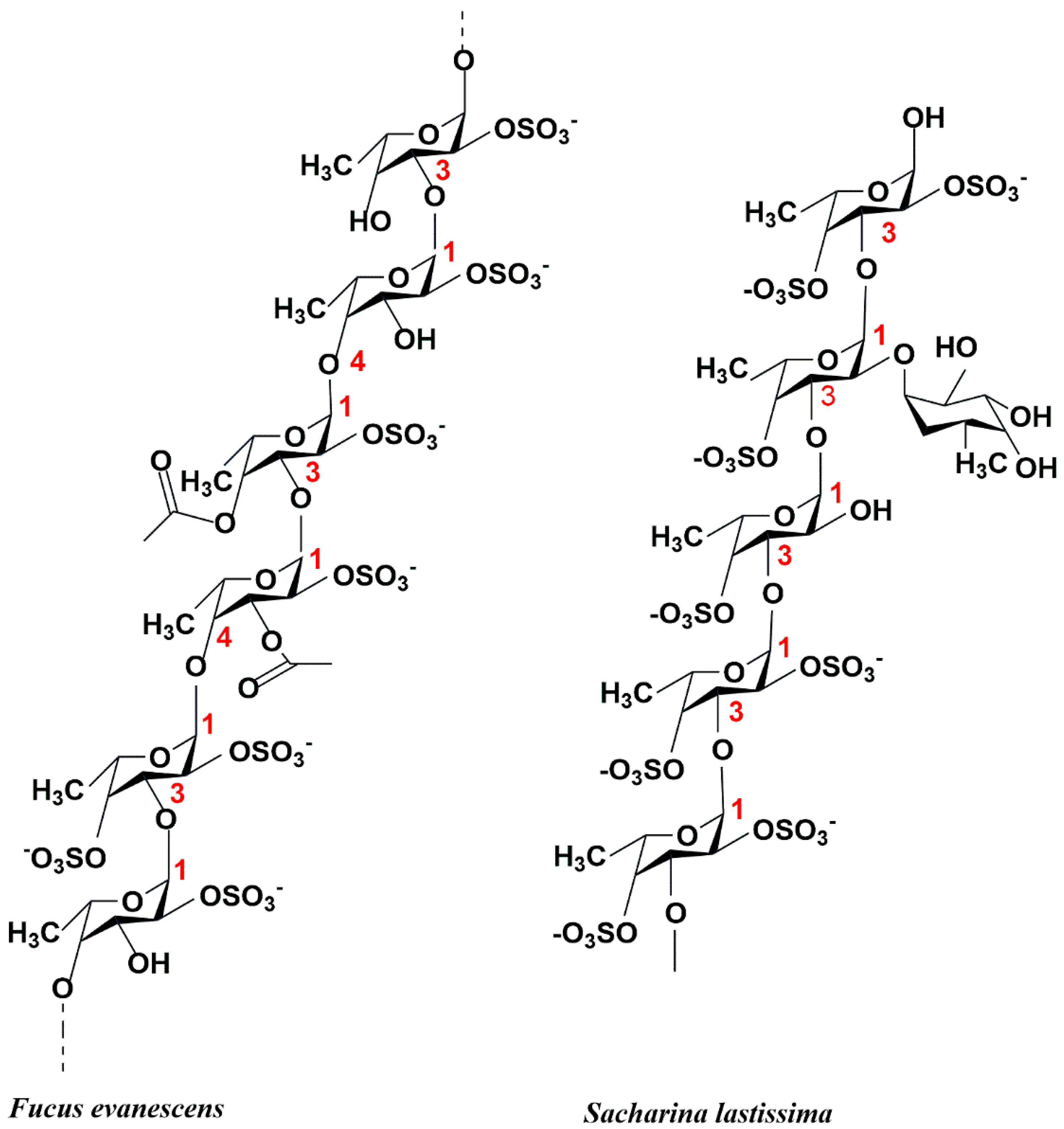 Marinedrugs 23 00097 g001 Marinedrugs 23 00097 g001