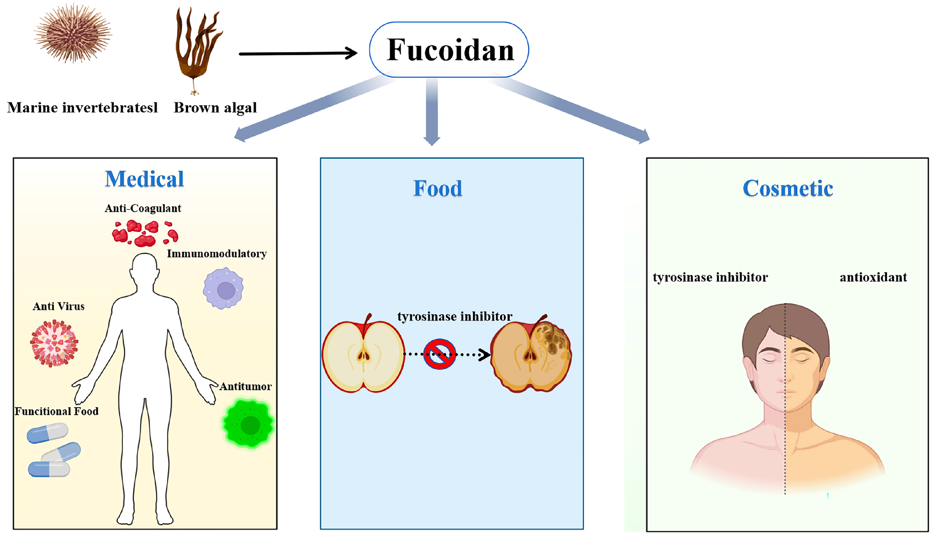 Marinedrugs 23 00097 g002 Marinedrugs 23 00097 g002