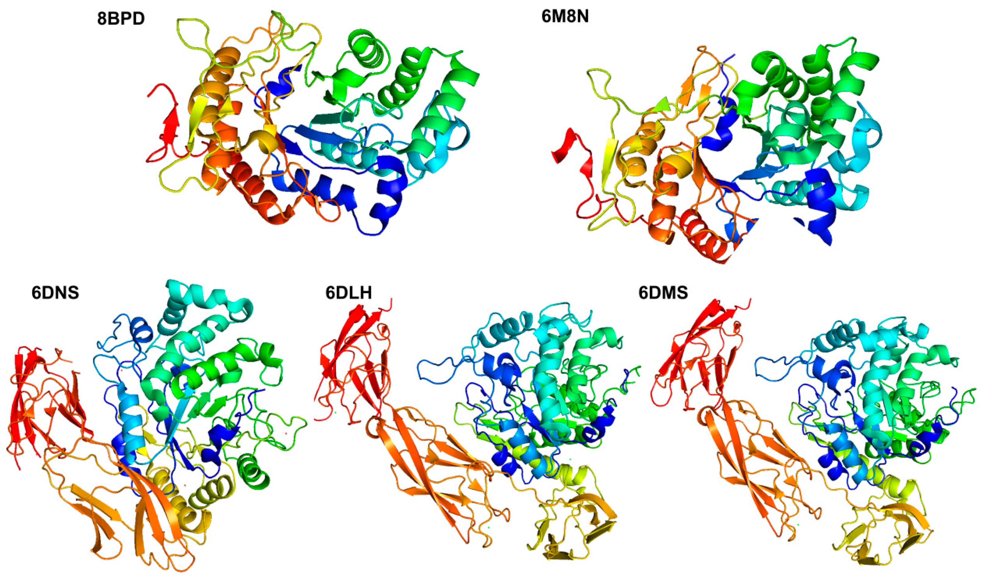 Marinedrugs 23 00097 g003 Marinedrugs 23 00097 g003